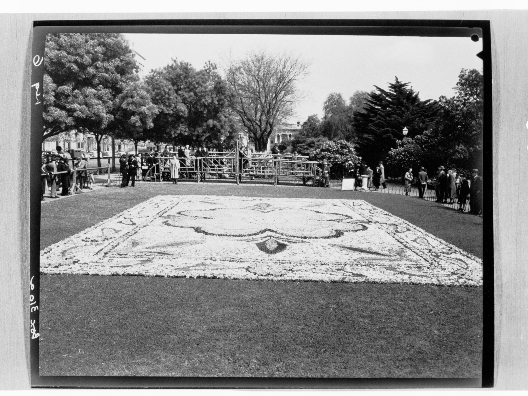 National Flower Day Festival held in Adelaide on the 21st September 1949