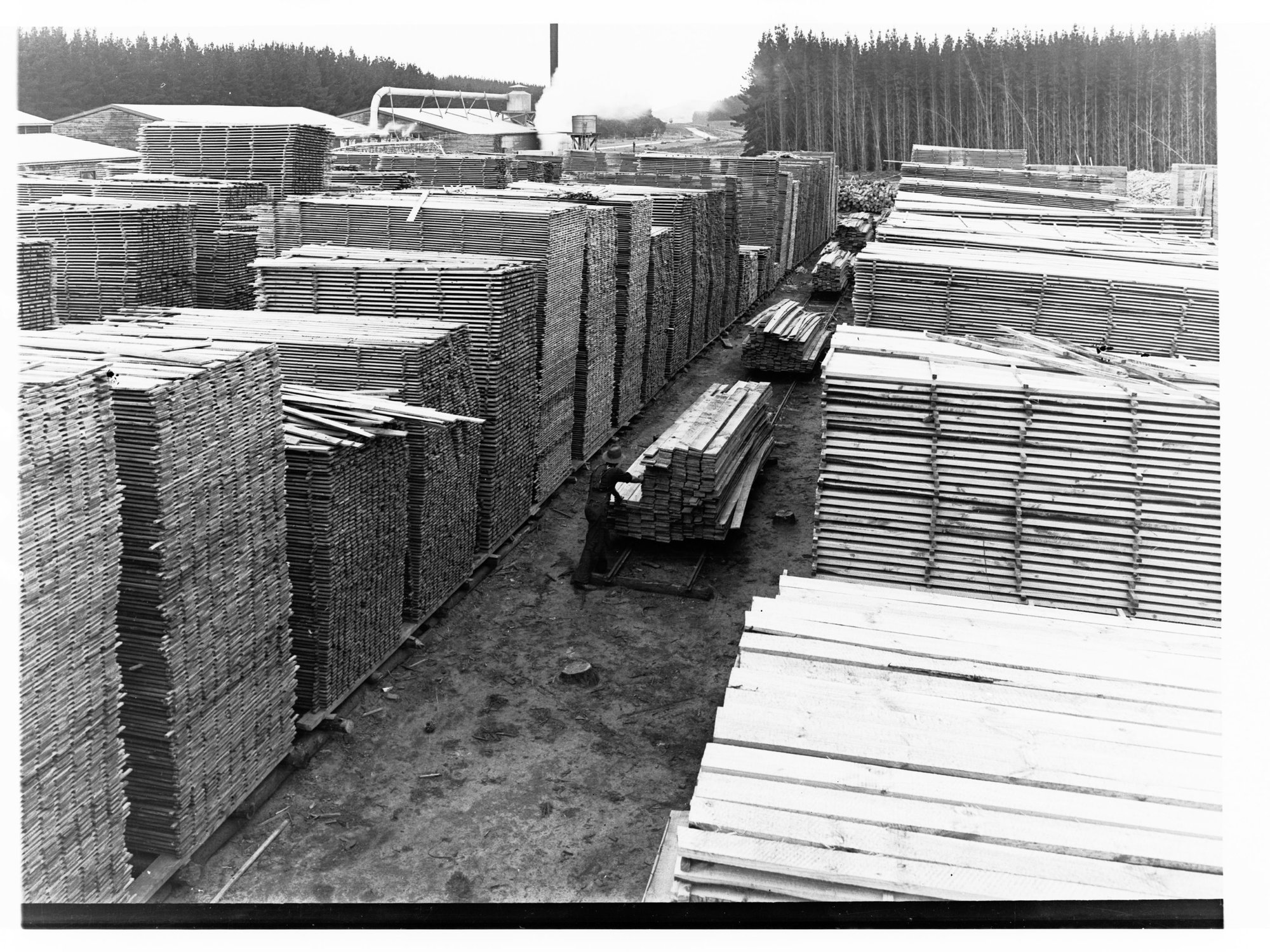Mount Burr Timber Mill Showing Stacked and Prepared Wood