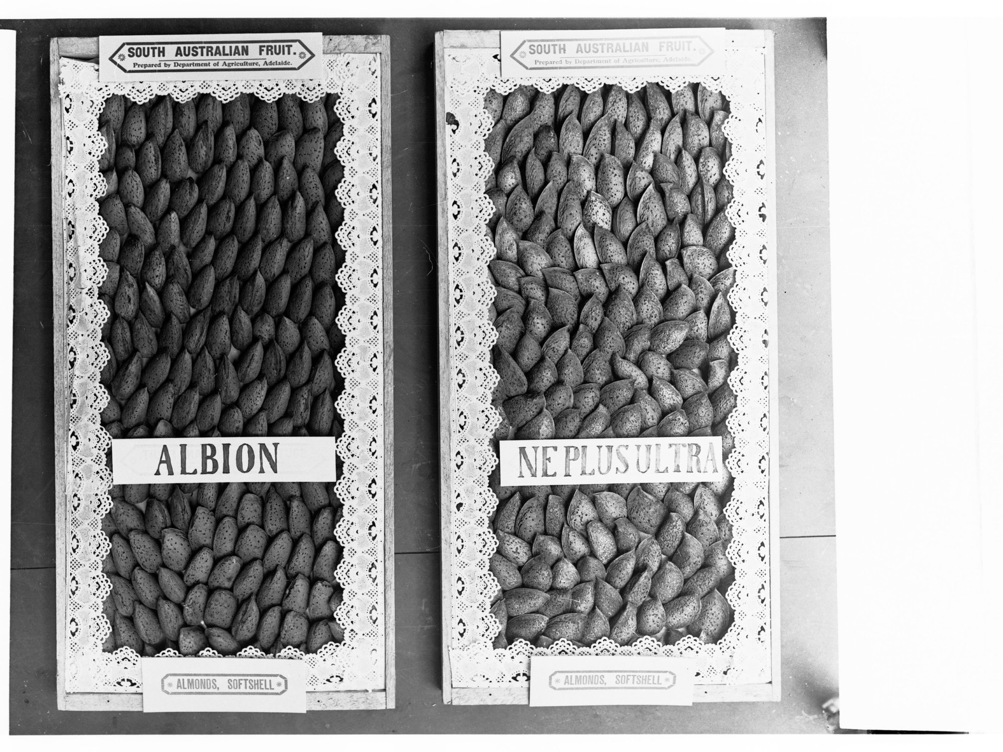 South Australian Almonds