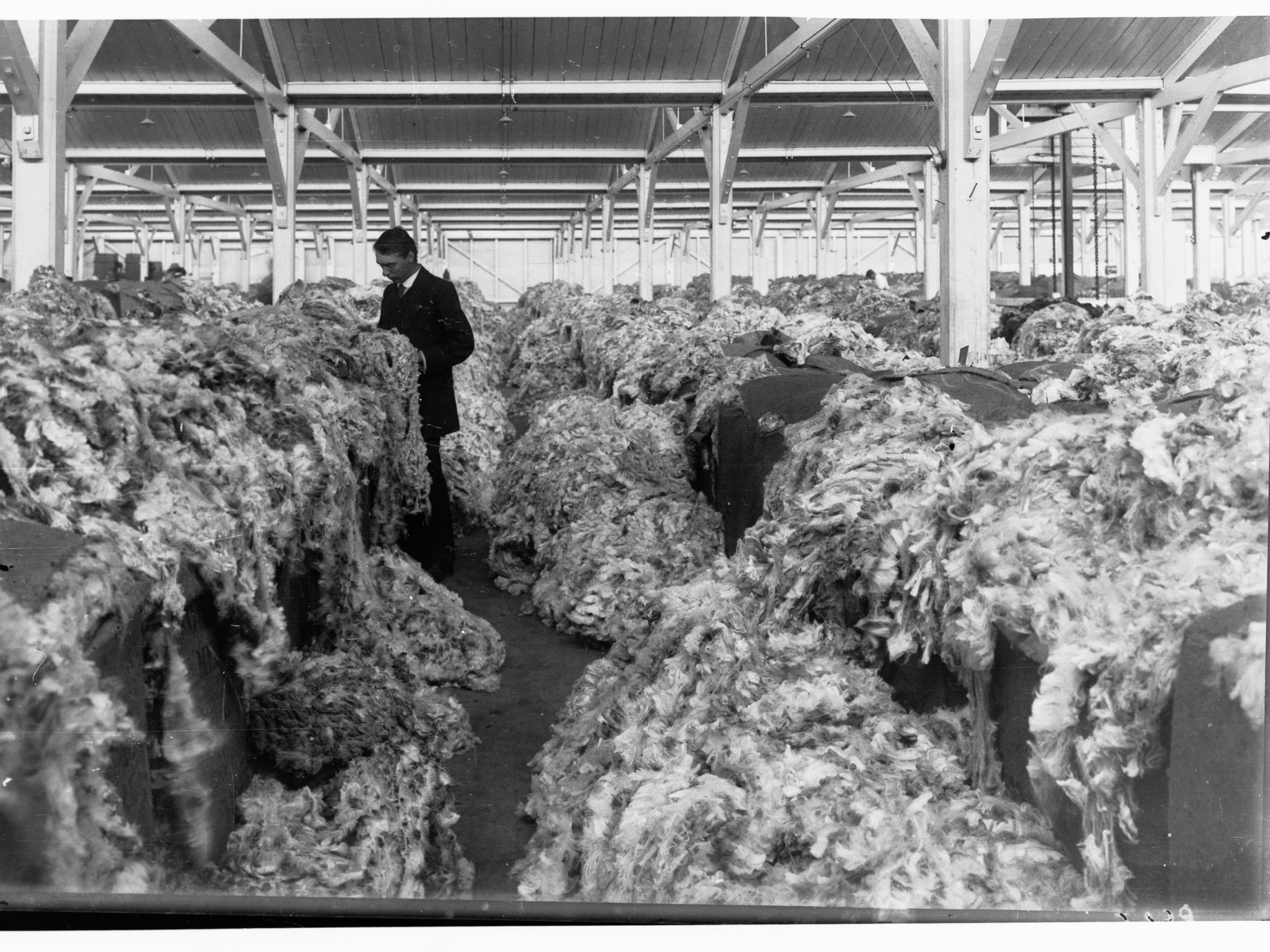 Man inspecting wool at Port Adelaide