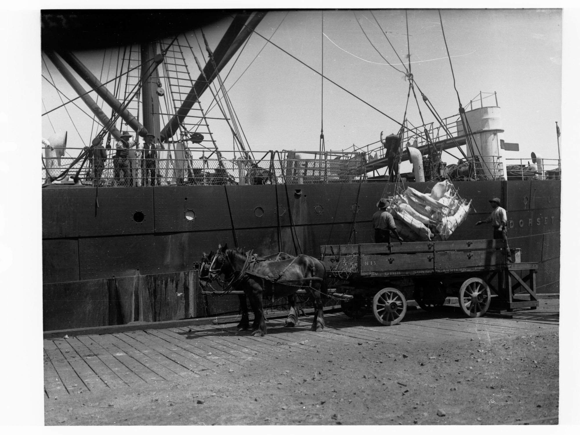 Produce depot at Port Adelaide exporting frozen carcass
