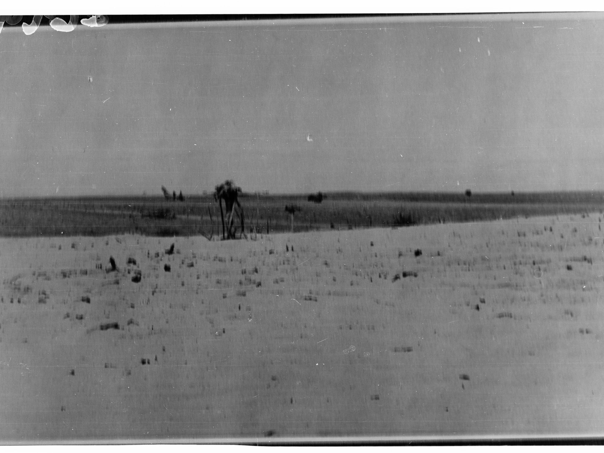 Barbed Wire Fence Showing Bushes in Desert