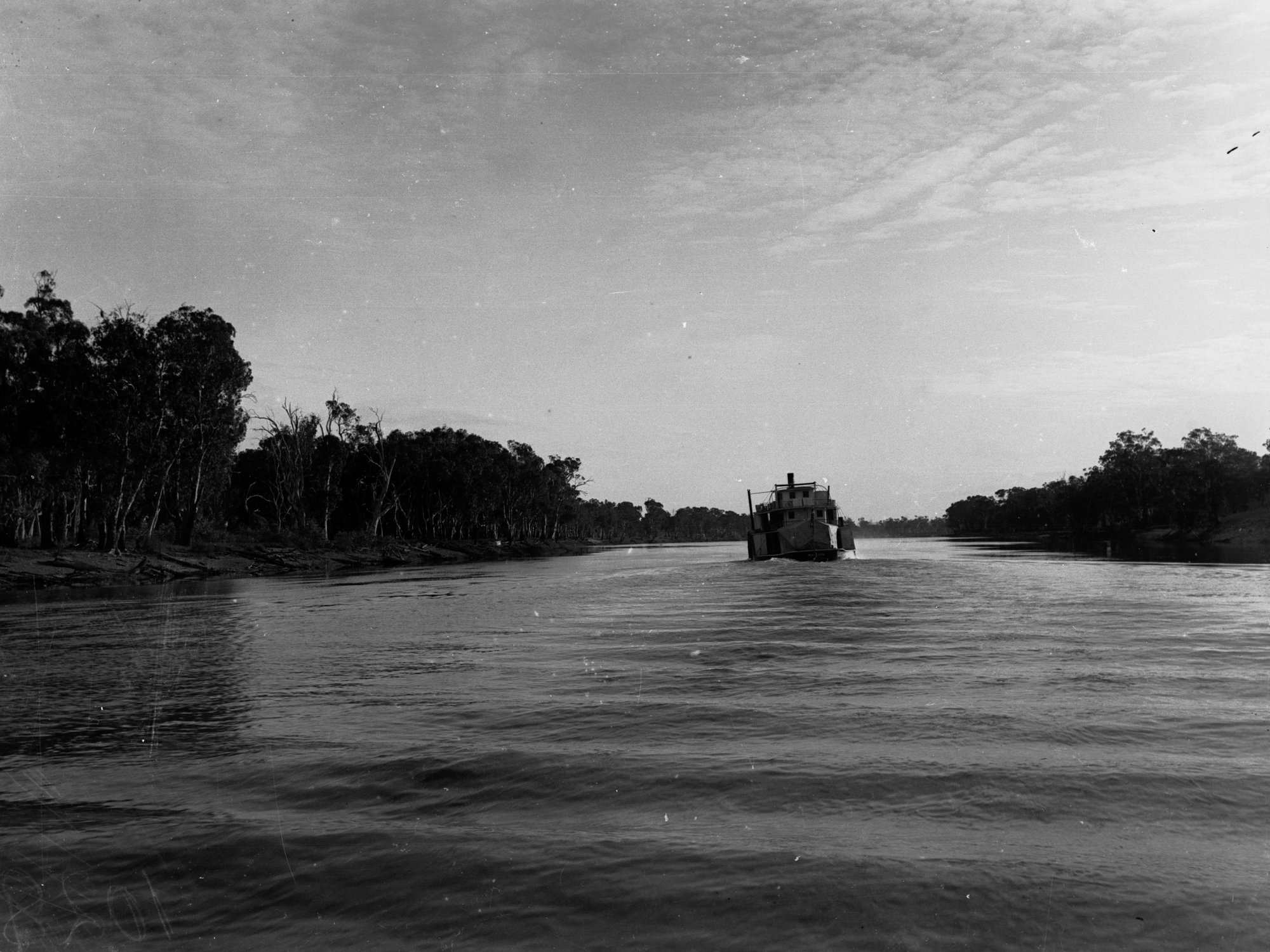 View of River Murray including paddlesteamer