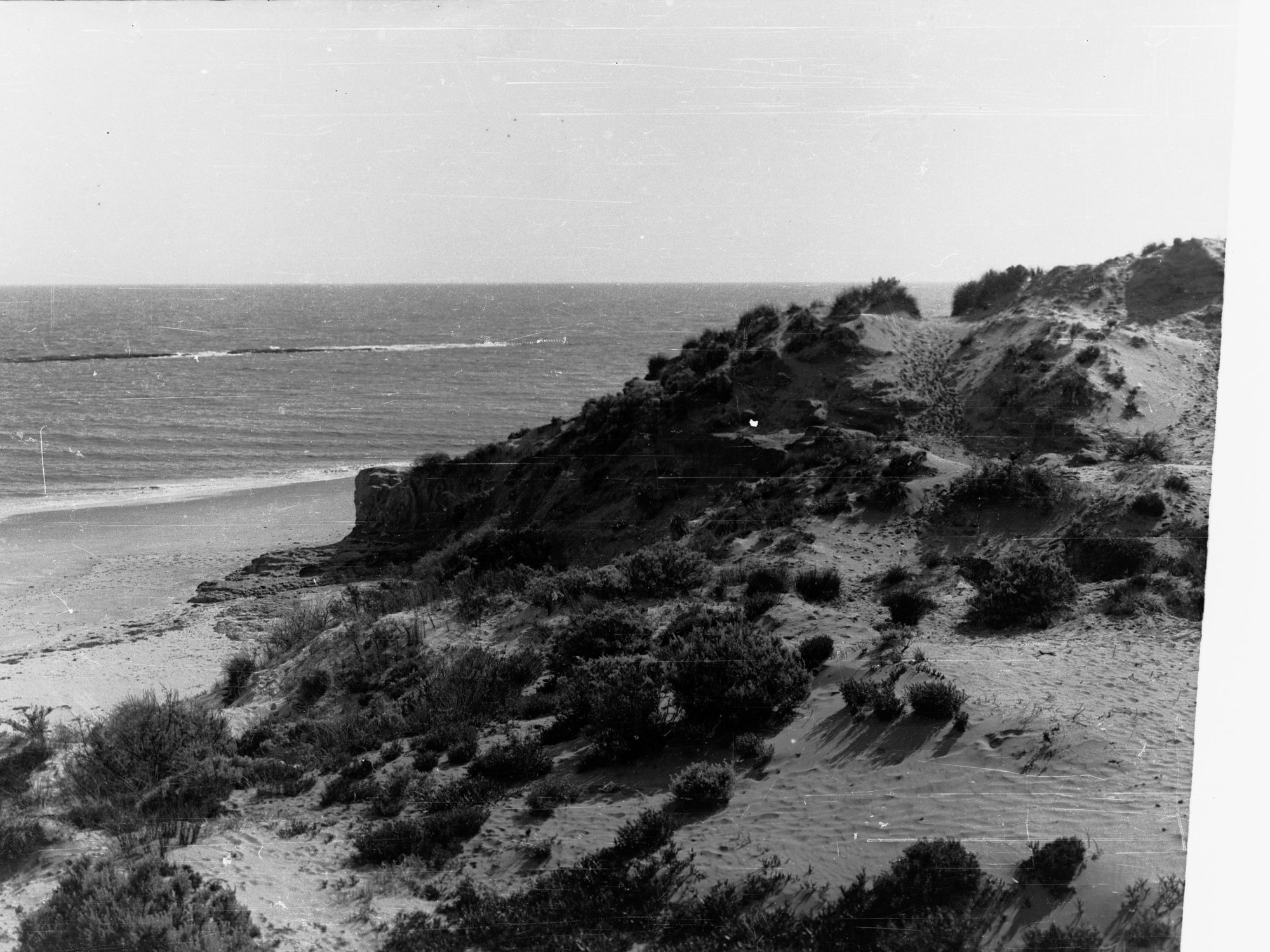 Sandhills at Port Noarlunga