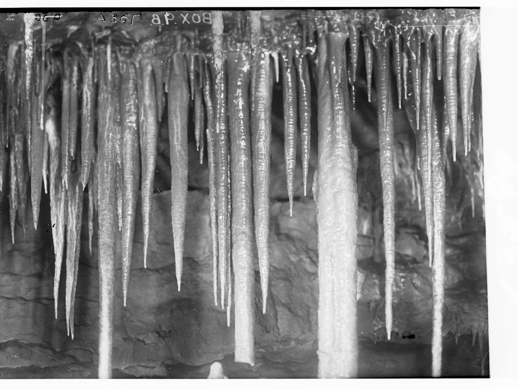 Stalagmites in Cave