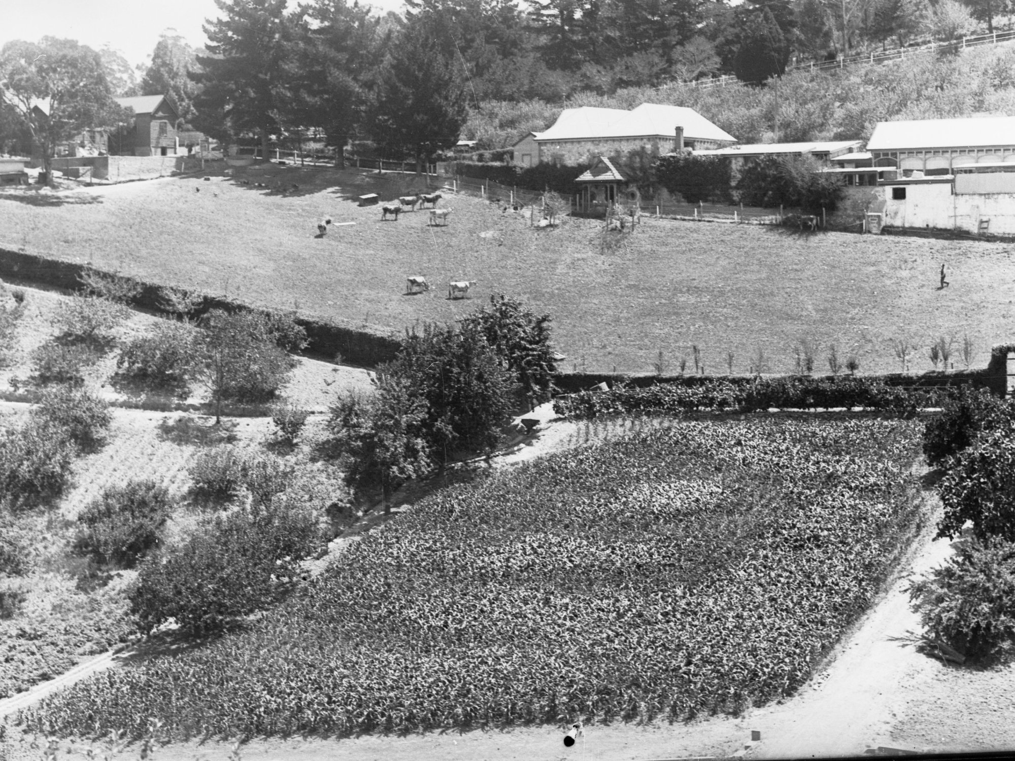 Large farm showing fields and farm buildings