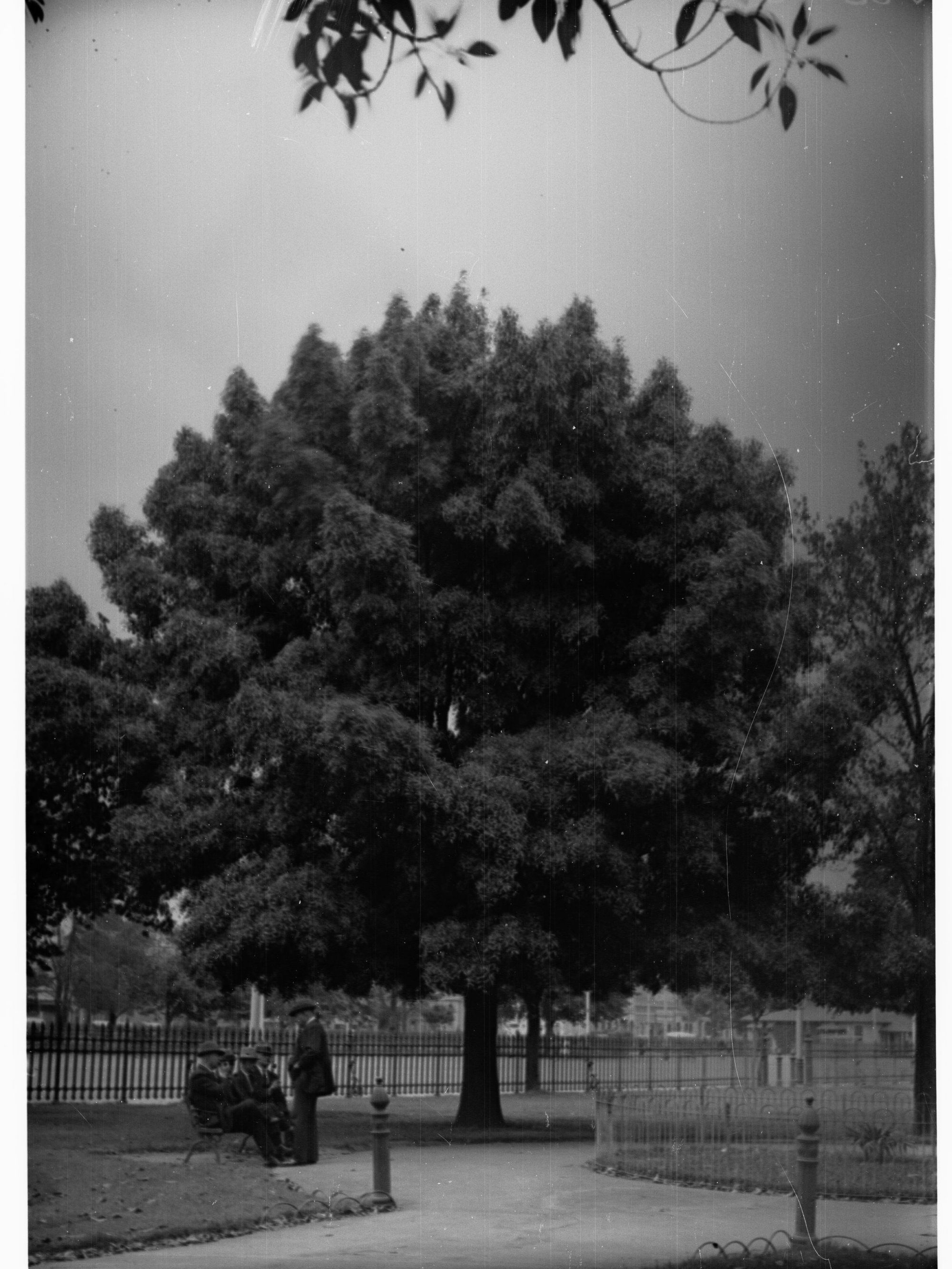Men in Victoria Square
