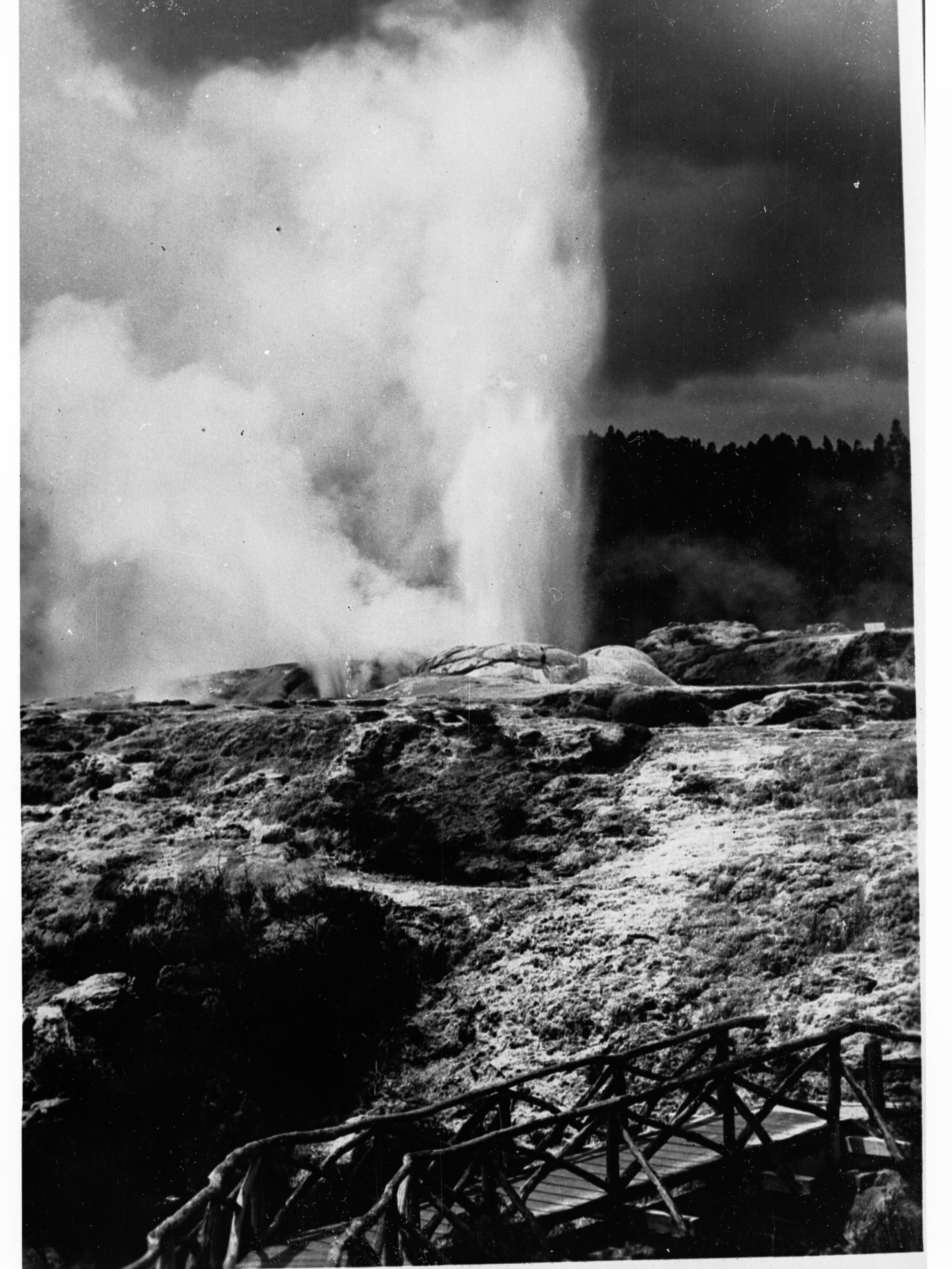 Geyser at New Zealand
