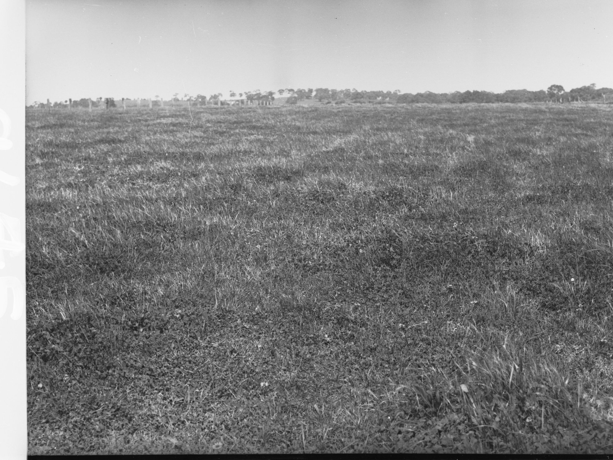 Mount Barker Cleggetts
