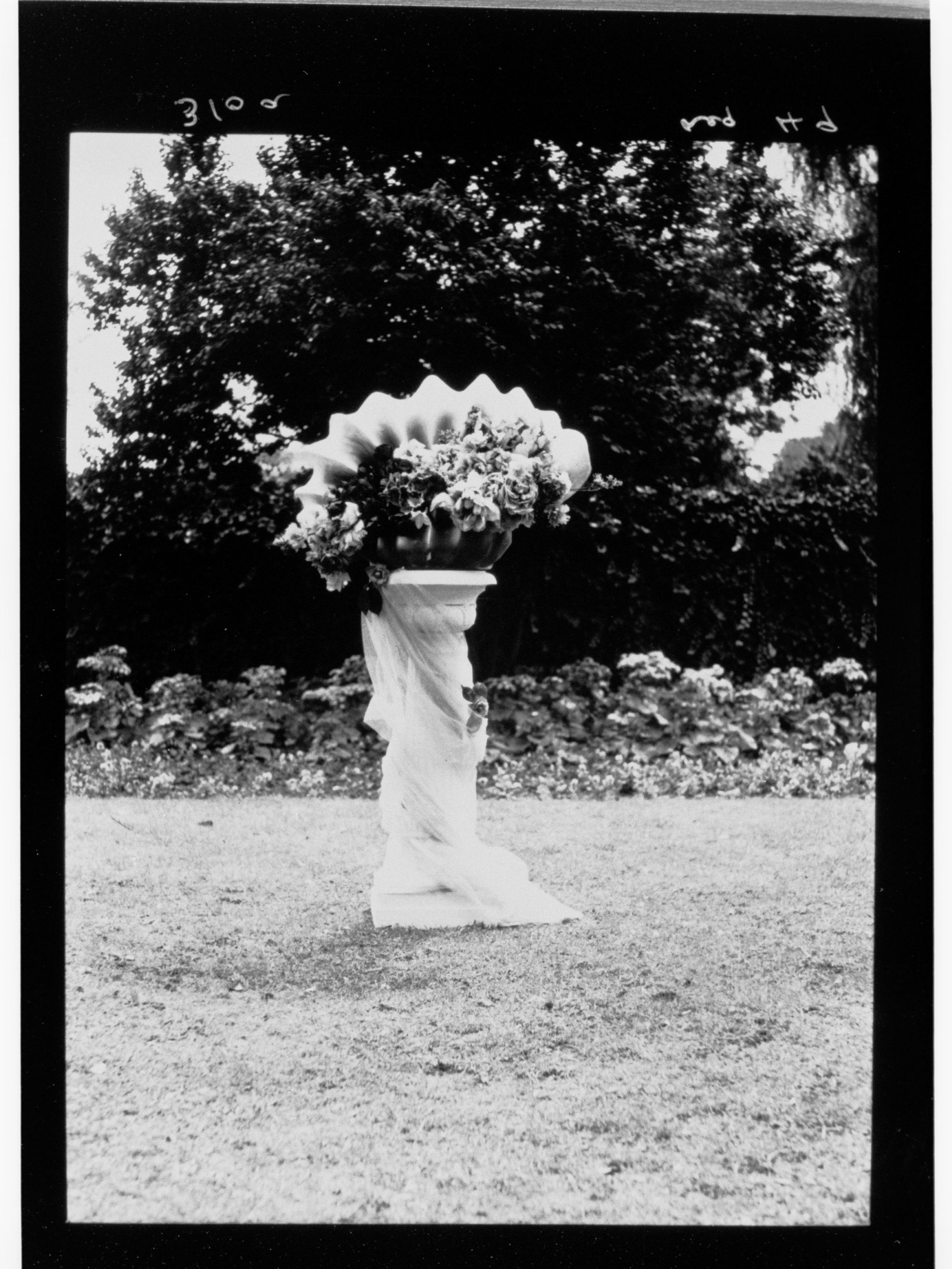 National Flower Day Festival held in Adelaide on the 21st September 1949