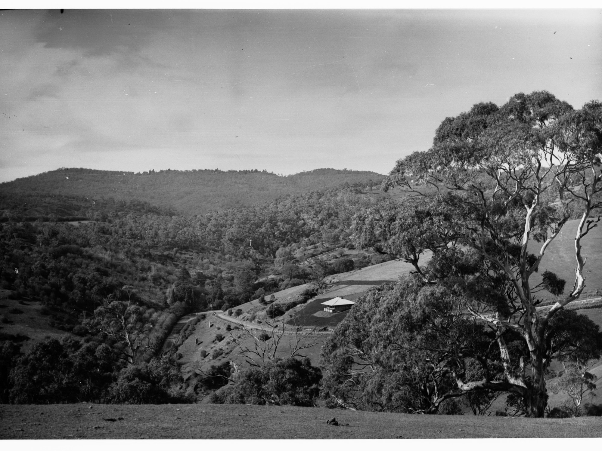 Mount Osmond showing Devil's Elbow