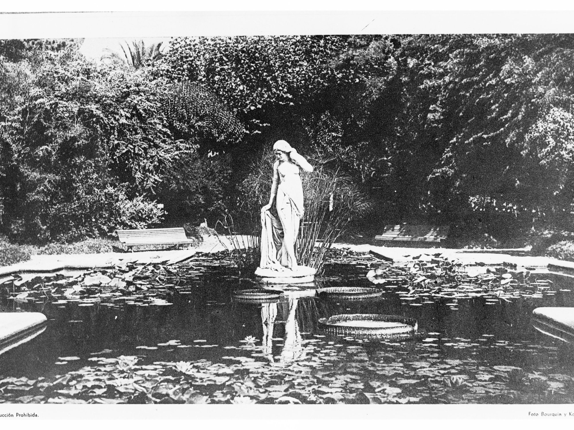 Statue in Centre of a Pond in the Botanical Gardens