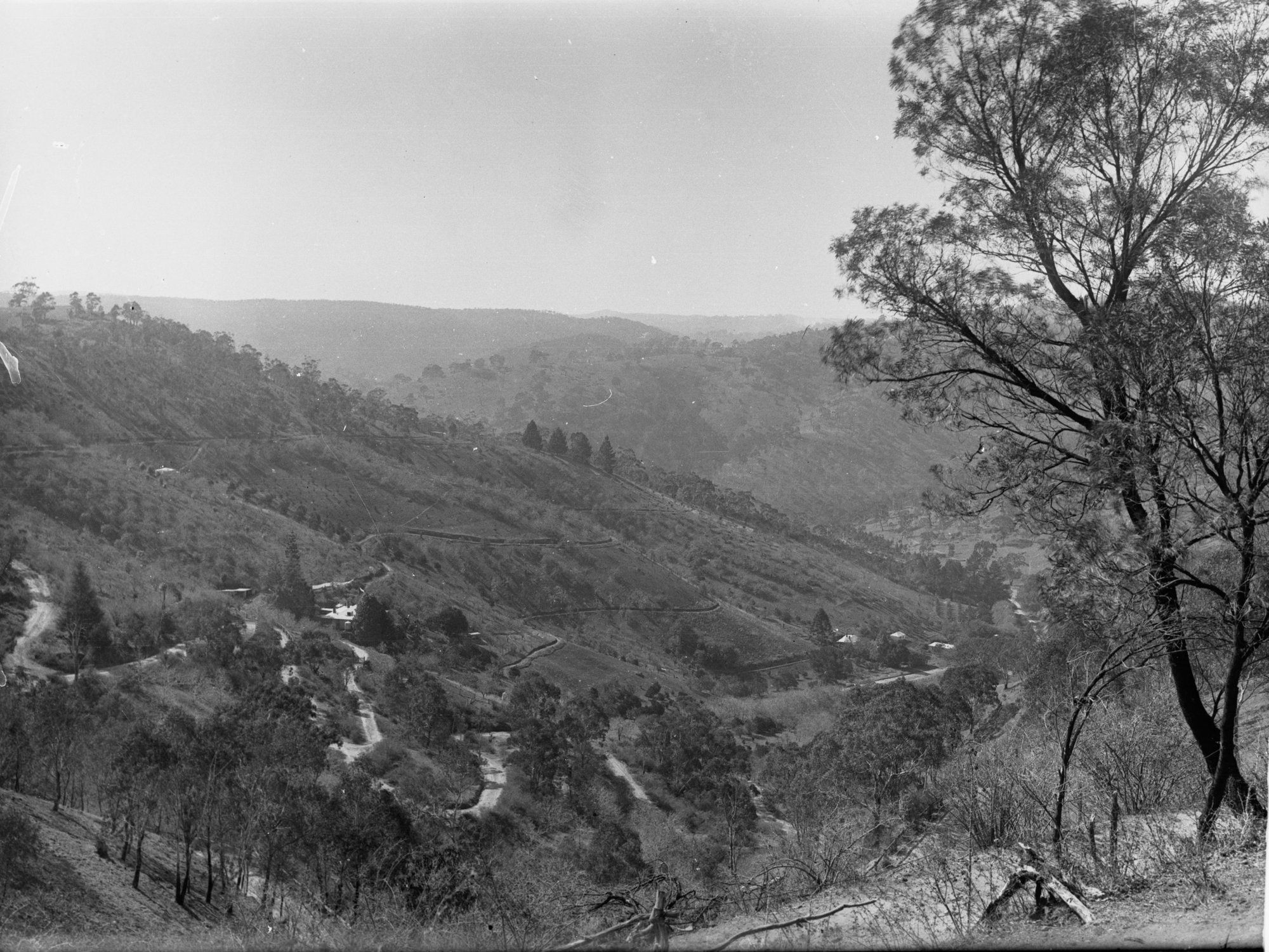 Corkscrew at Montacute, Mount Lofty Ranges