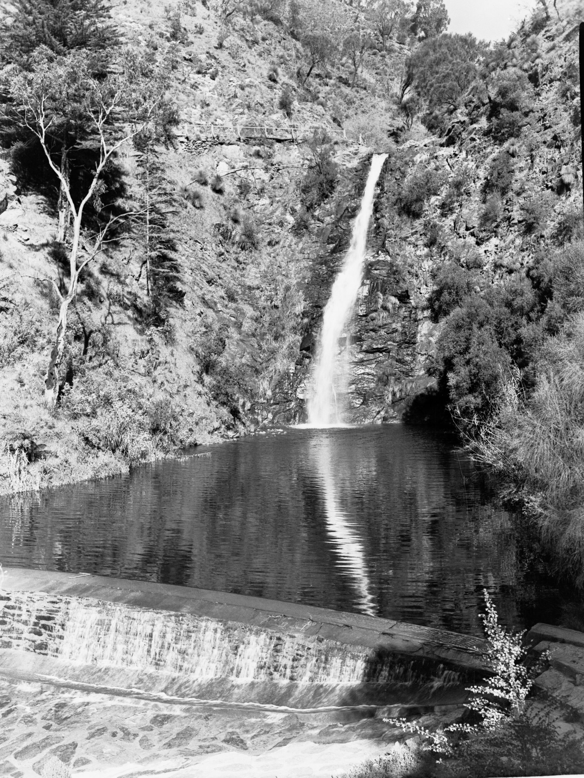 Waterfall Gully