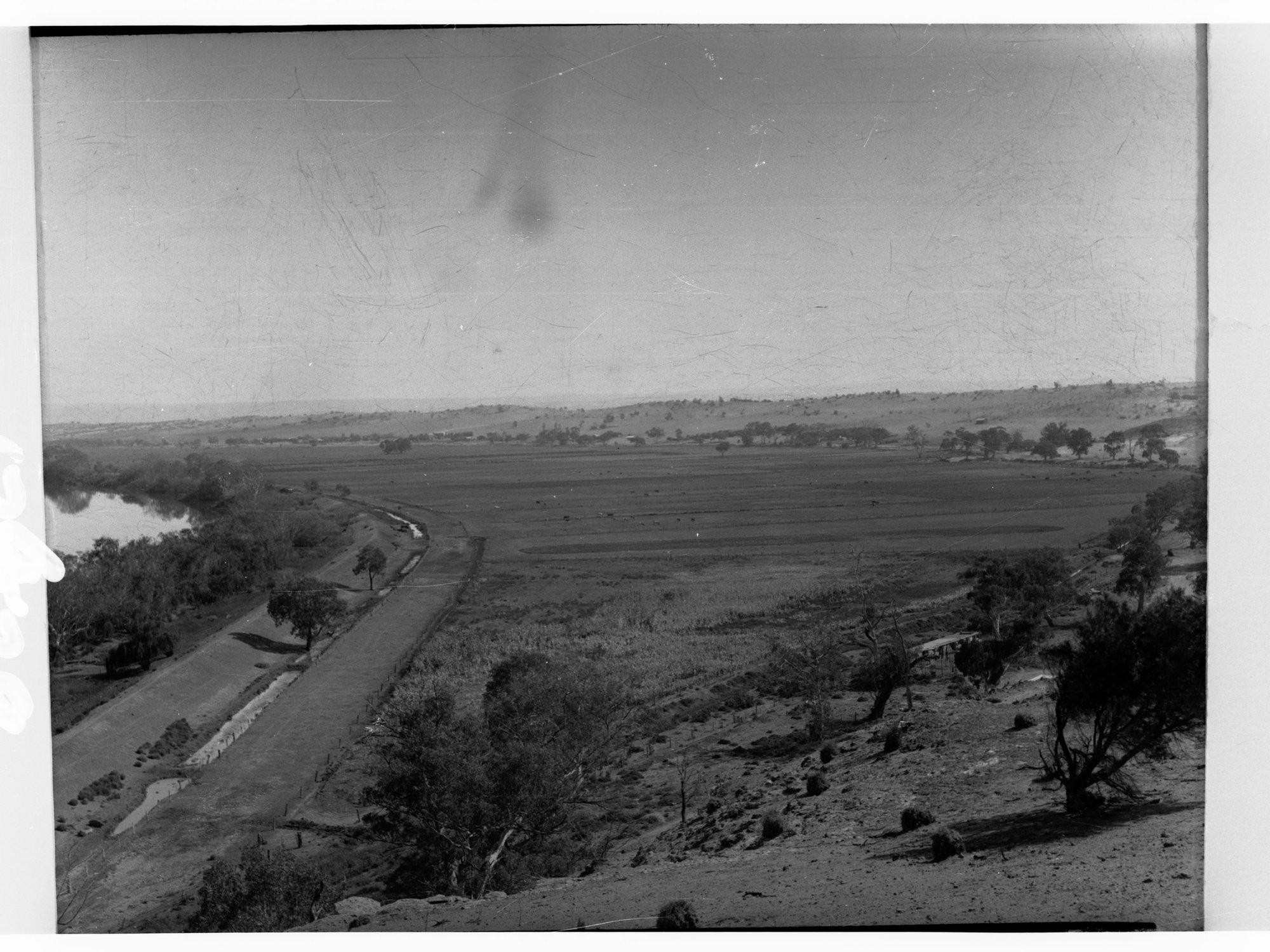 Reclaimed area for Irrigation Department