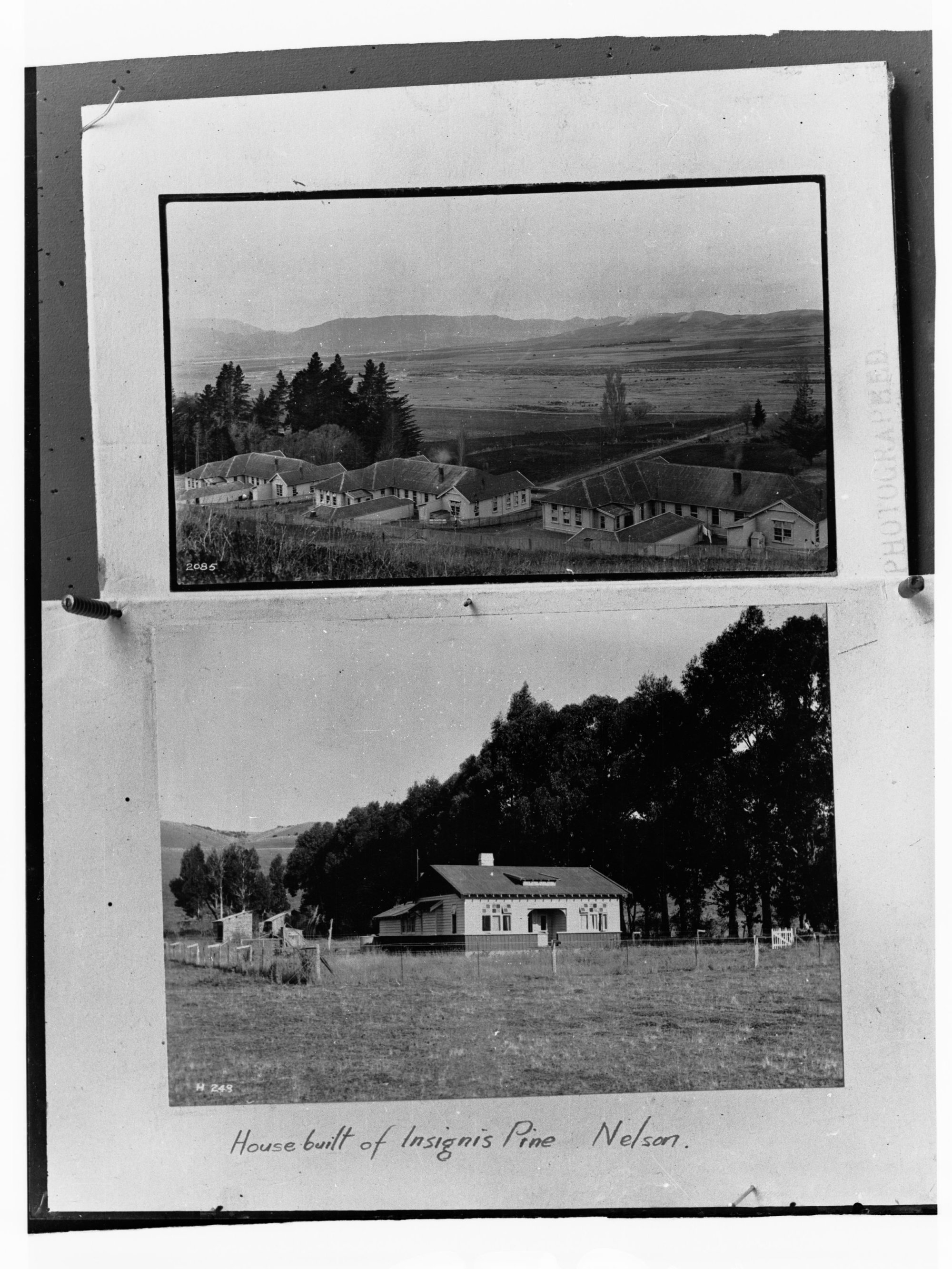 House made from insignis pine, Nelson, New Zealand