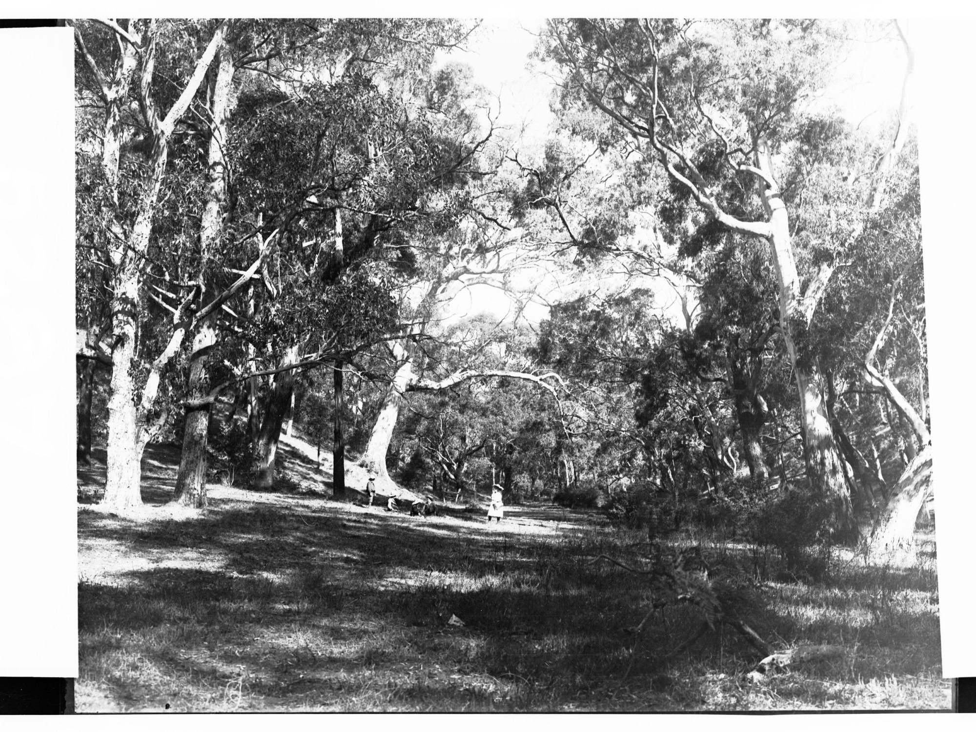 National Park Belair Showing Children in the Distance