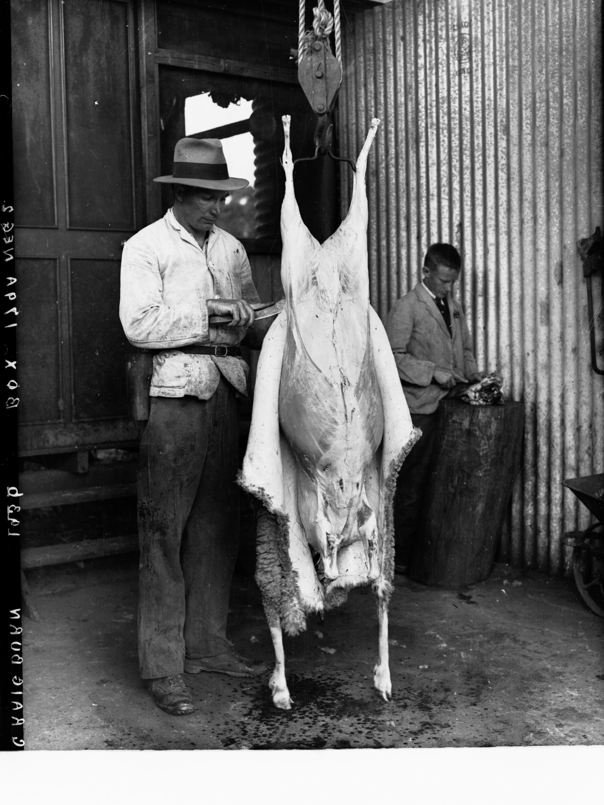 Skinning a sheep at Minda Home's Craigburn Farm, 1936