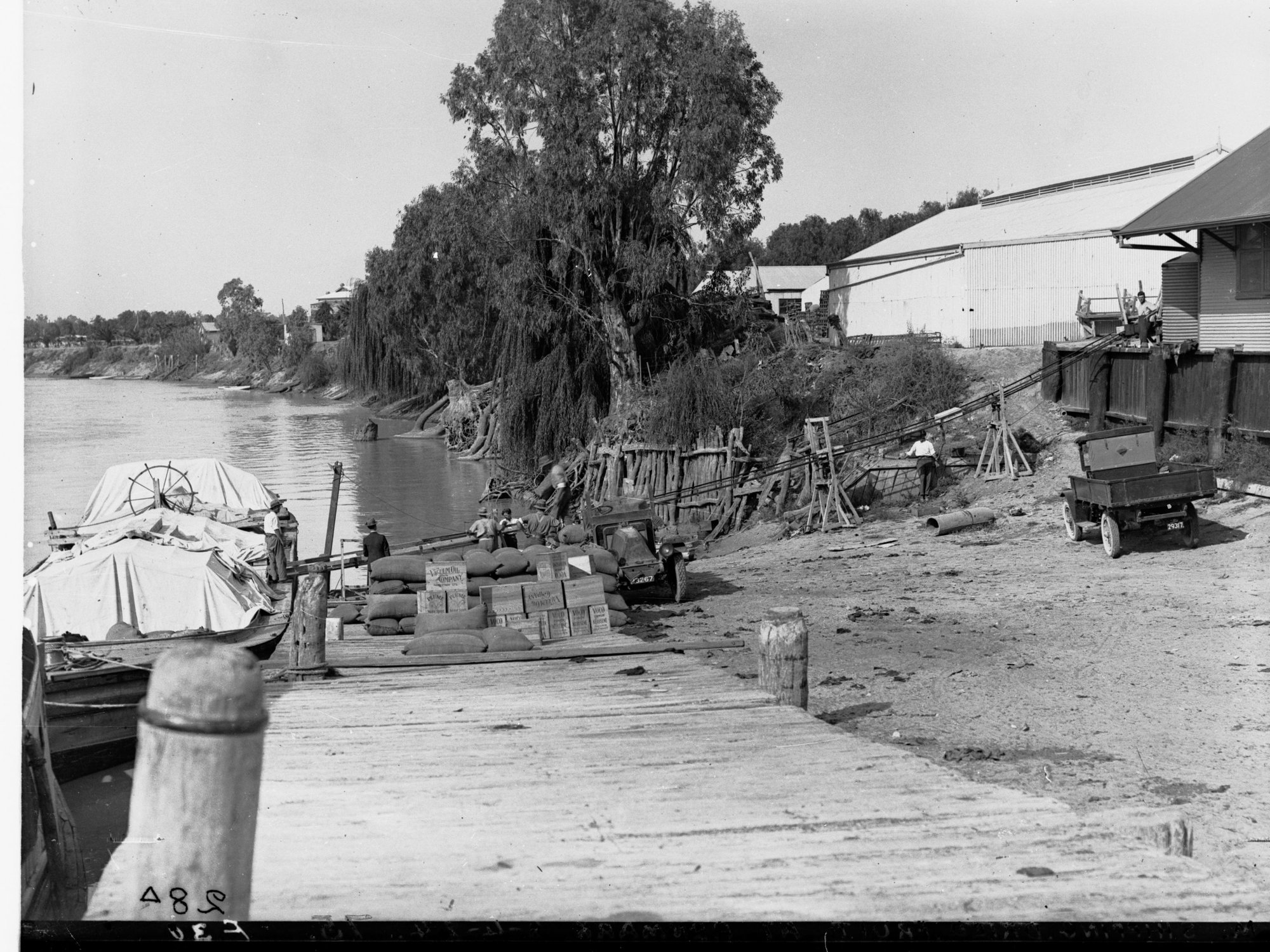 Shipping Dried Fruit at Renmark River Murray