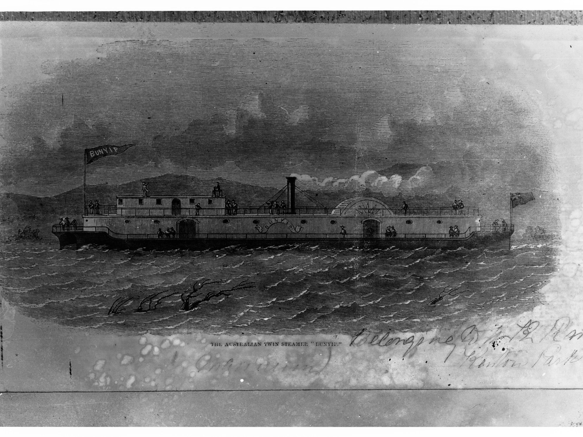 Australian Twin Steamer The Bunyip