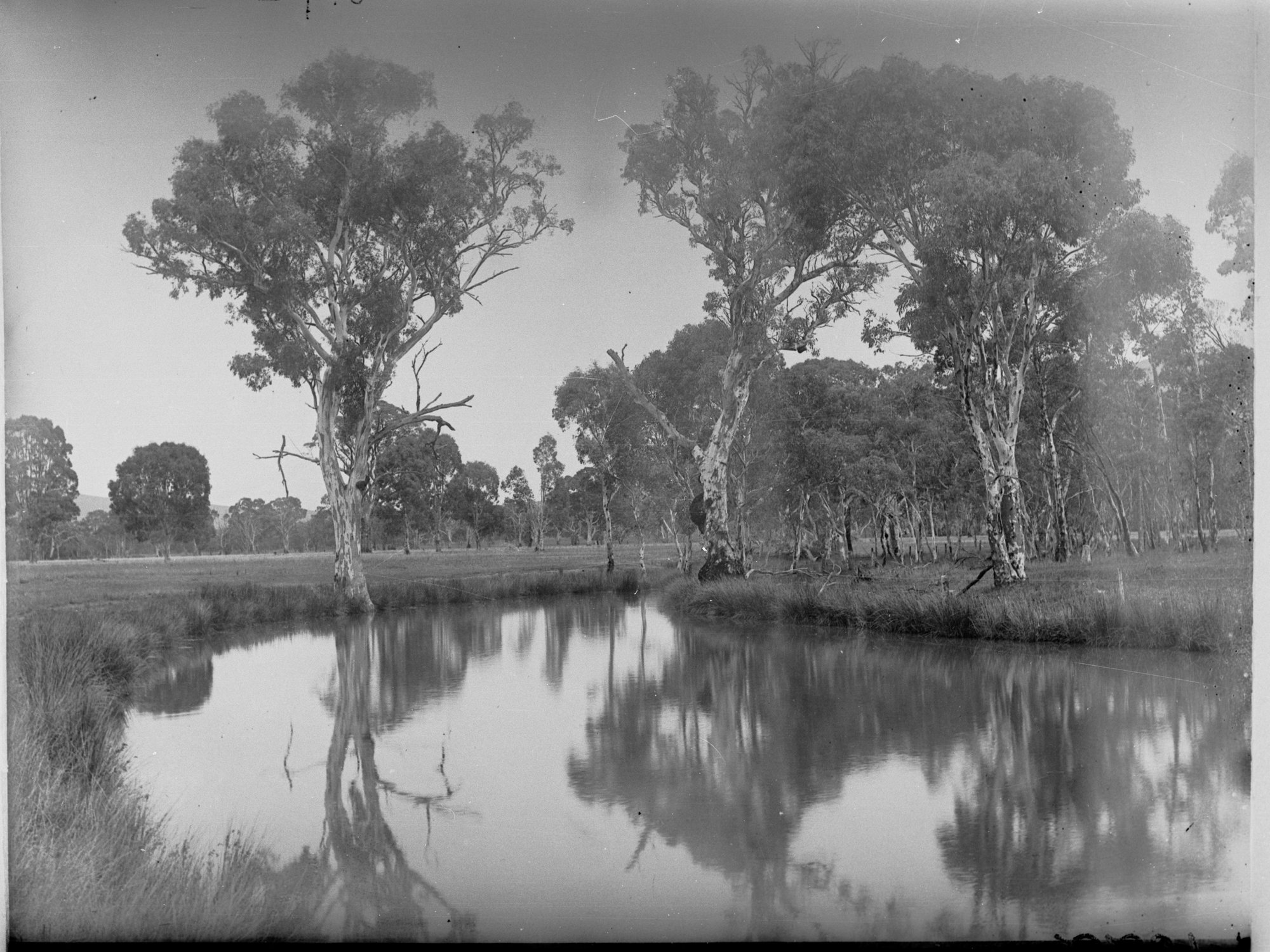 Wilpena Creek Flinders Ranges