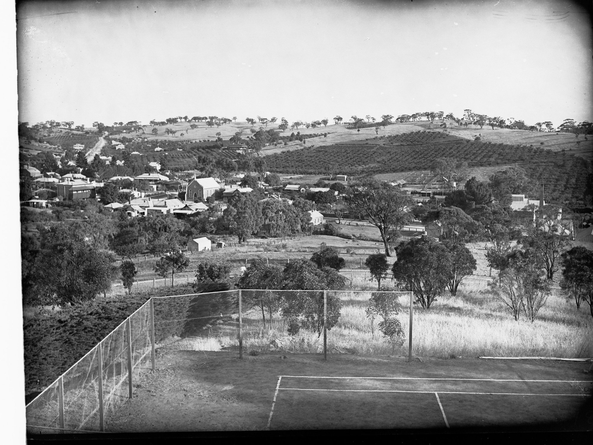 Township of Angaston and Vineyards