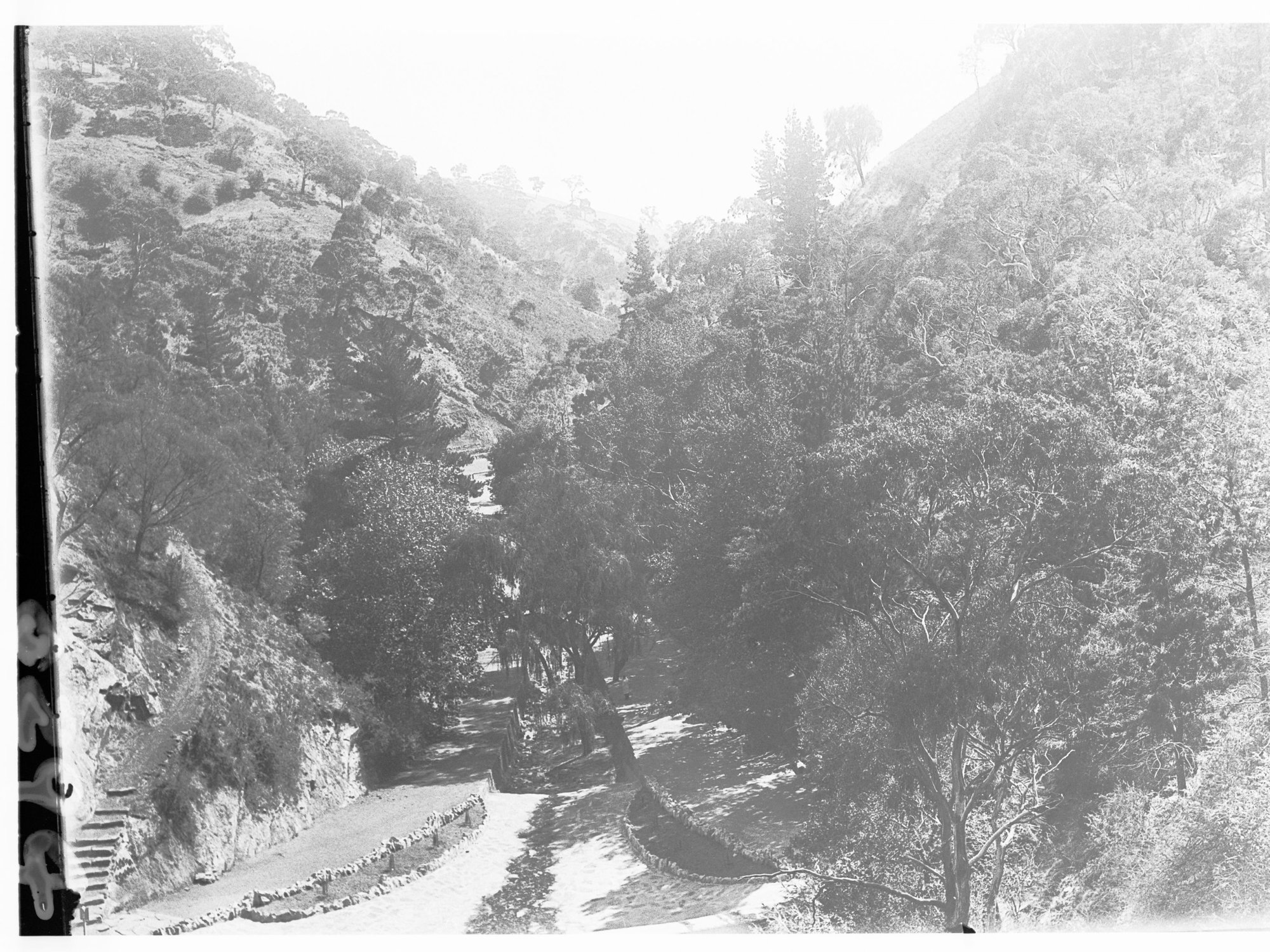 Pathway through Waterfall Gully Park - showing trees