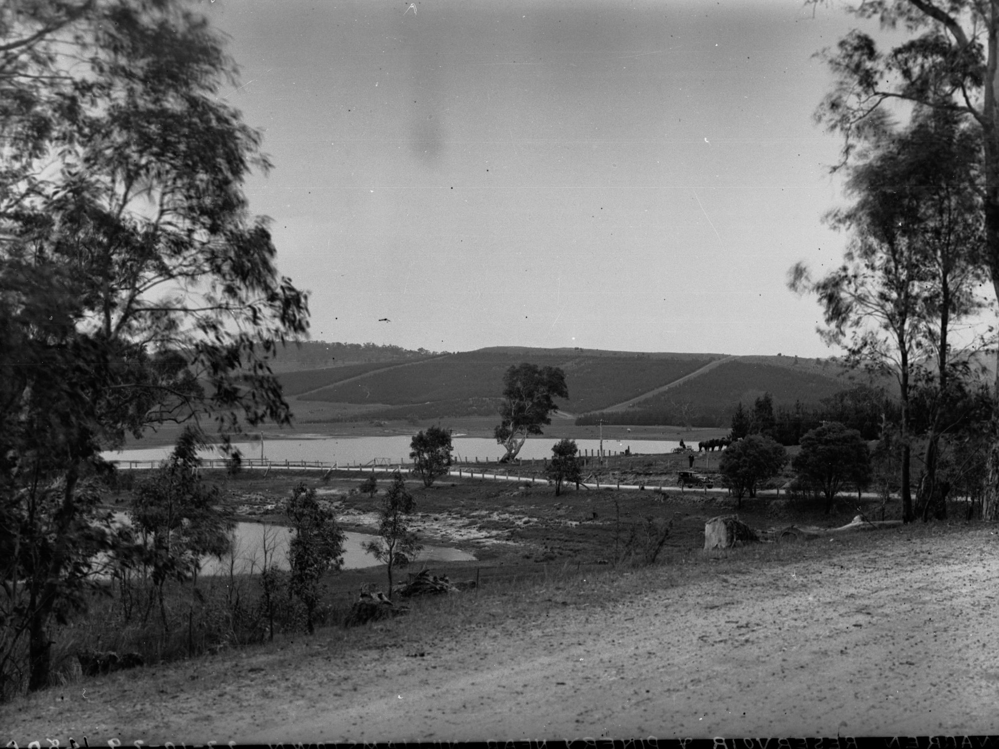 Warren Reservoir and Pinery