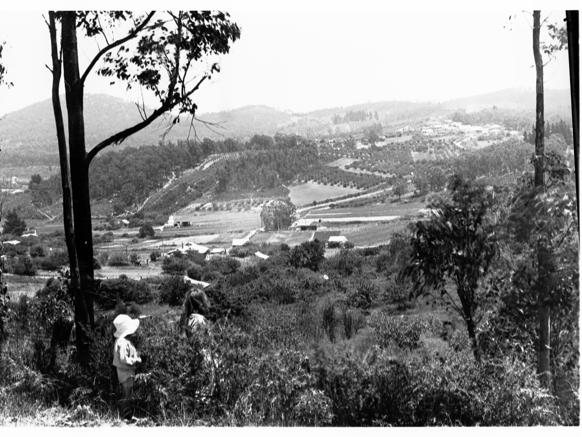 Uraidla Looking Towards Summertown