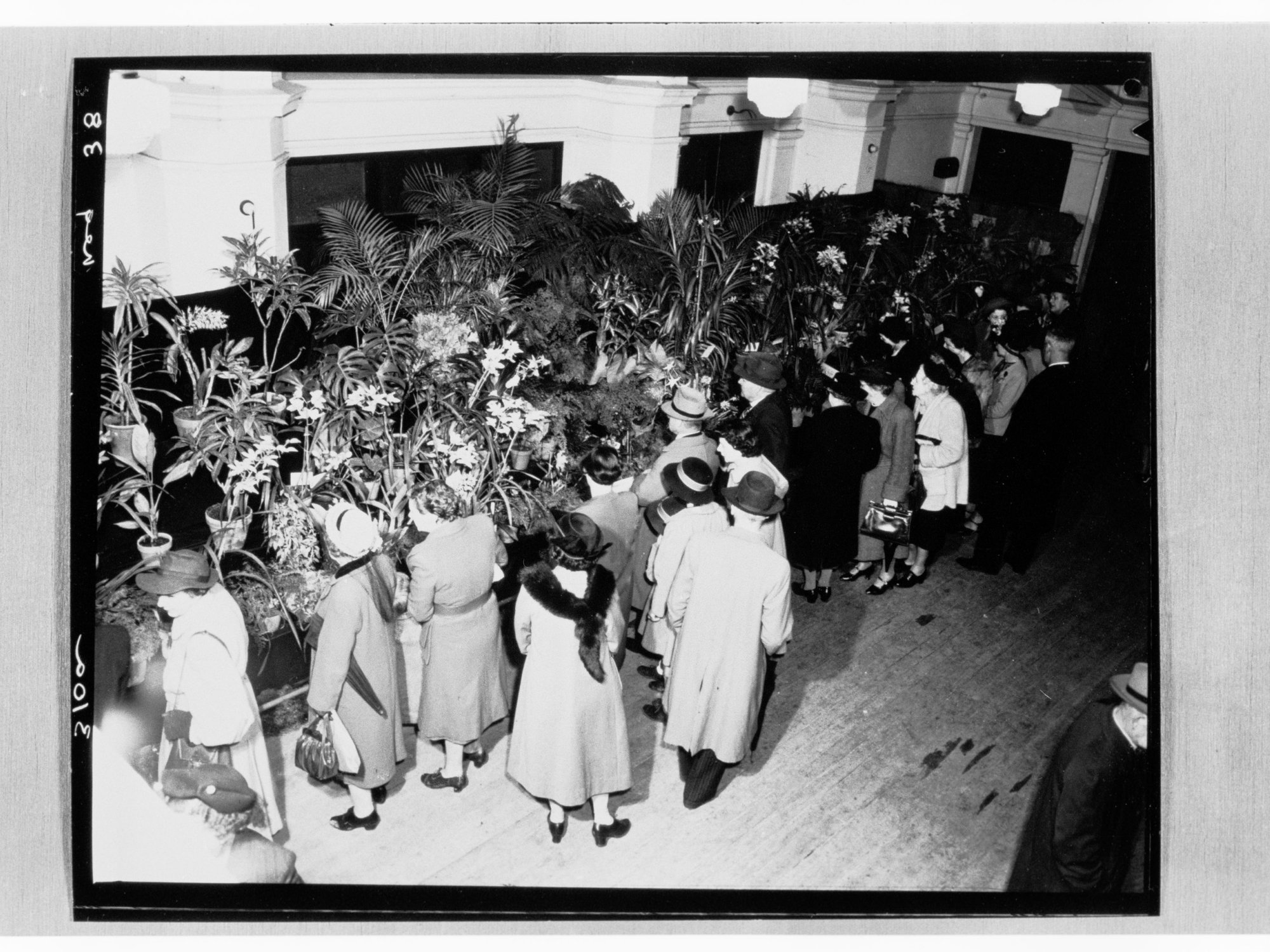 National Flower Day Festival held in Adelaide on the 21st September 1949