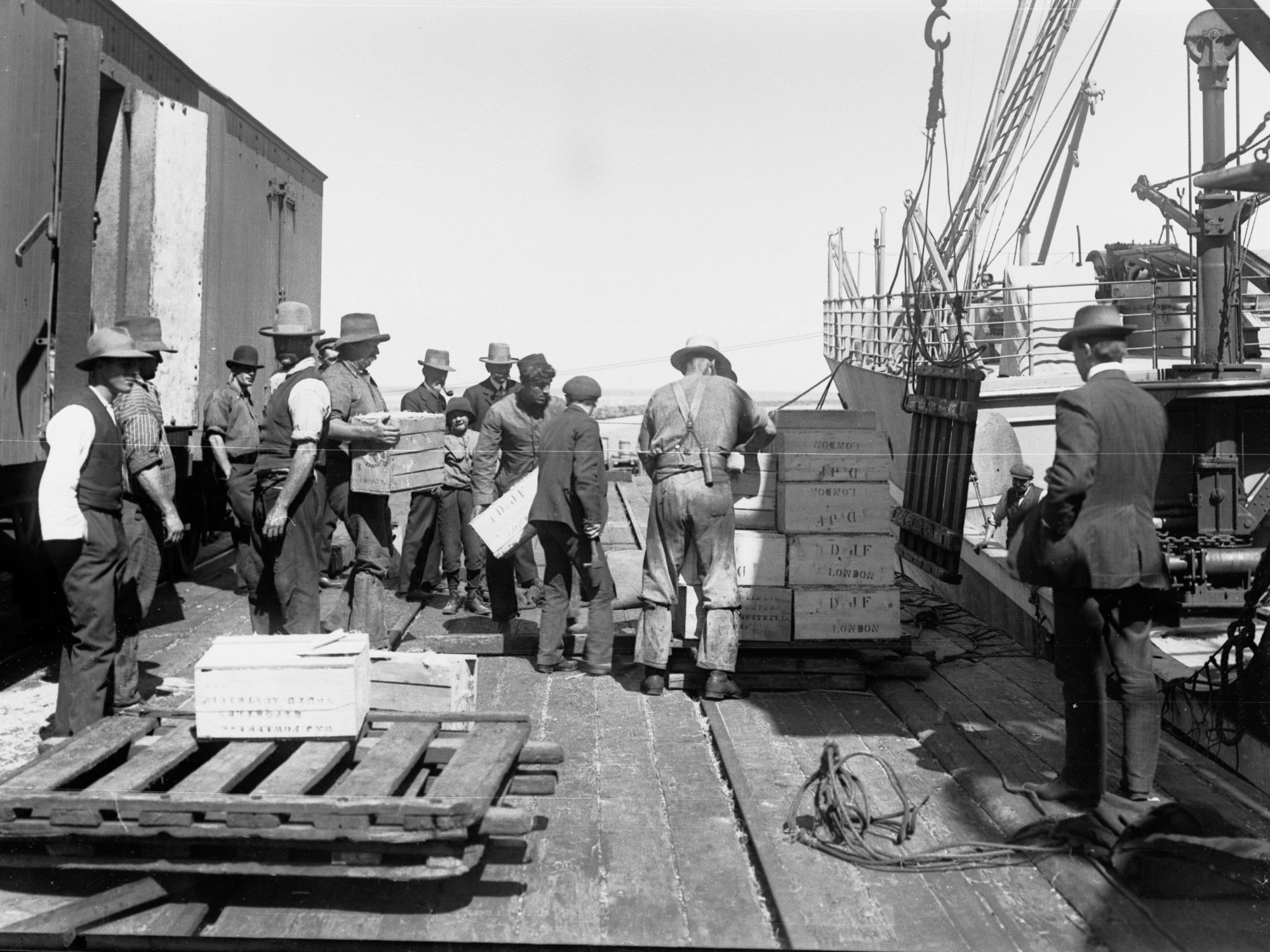 Outer Harbour - Loading Apples onto RMS 'Moldavia'