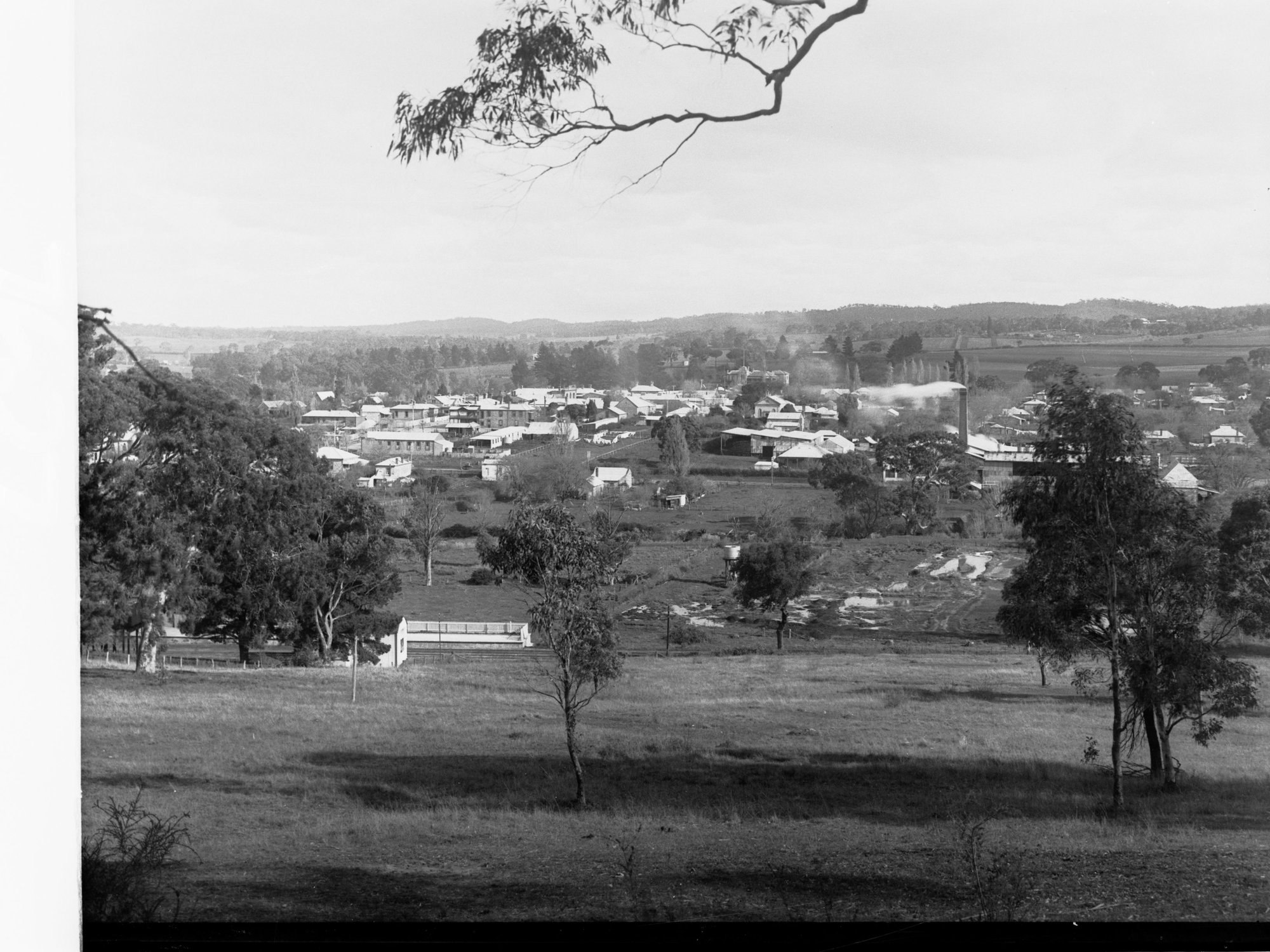 Township of Mount Barker