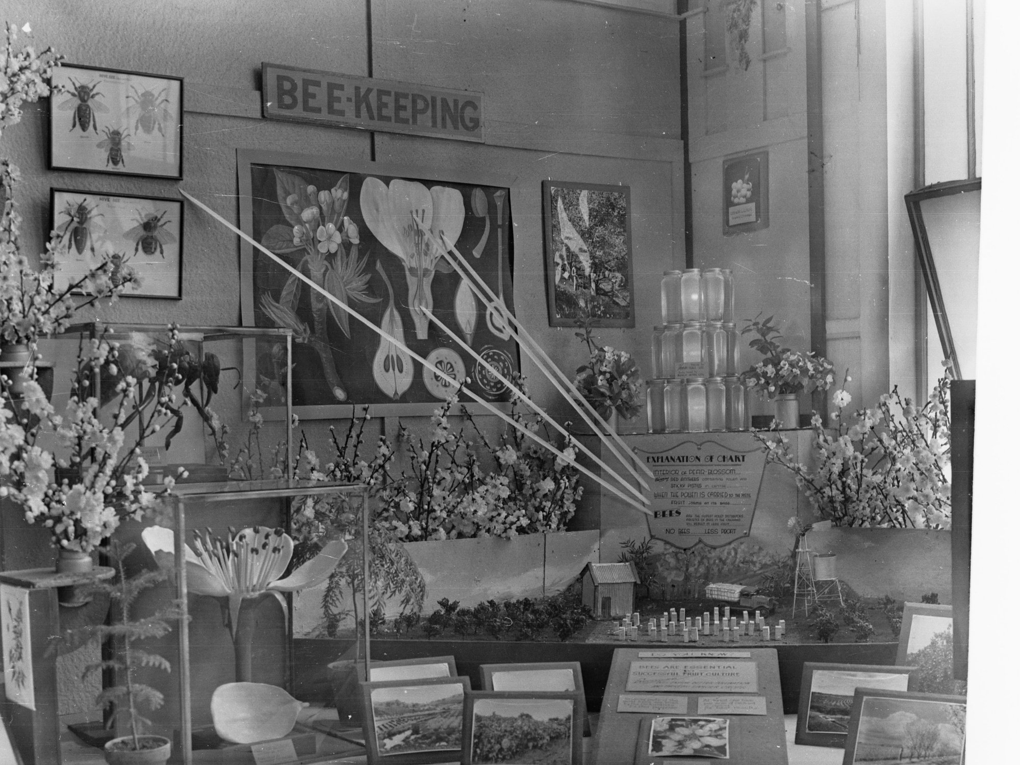 Agricultural Display showing bee keeping section, Royal Adelaide Show