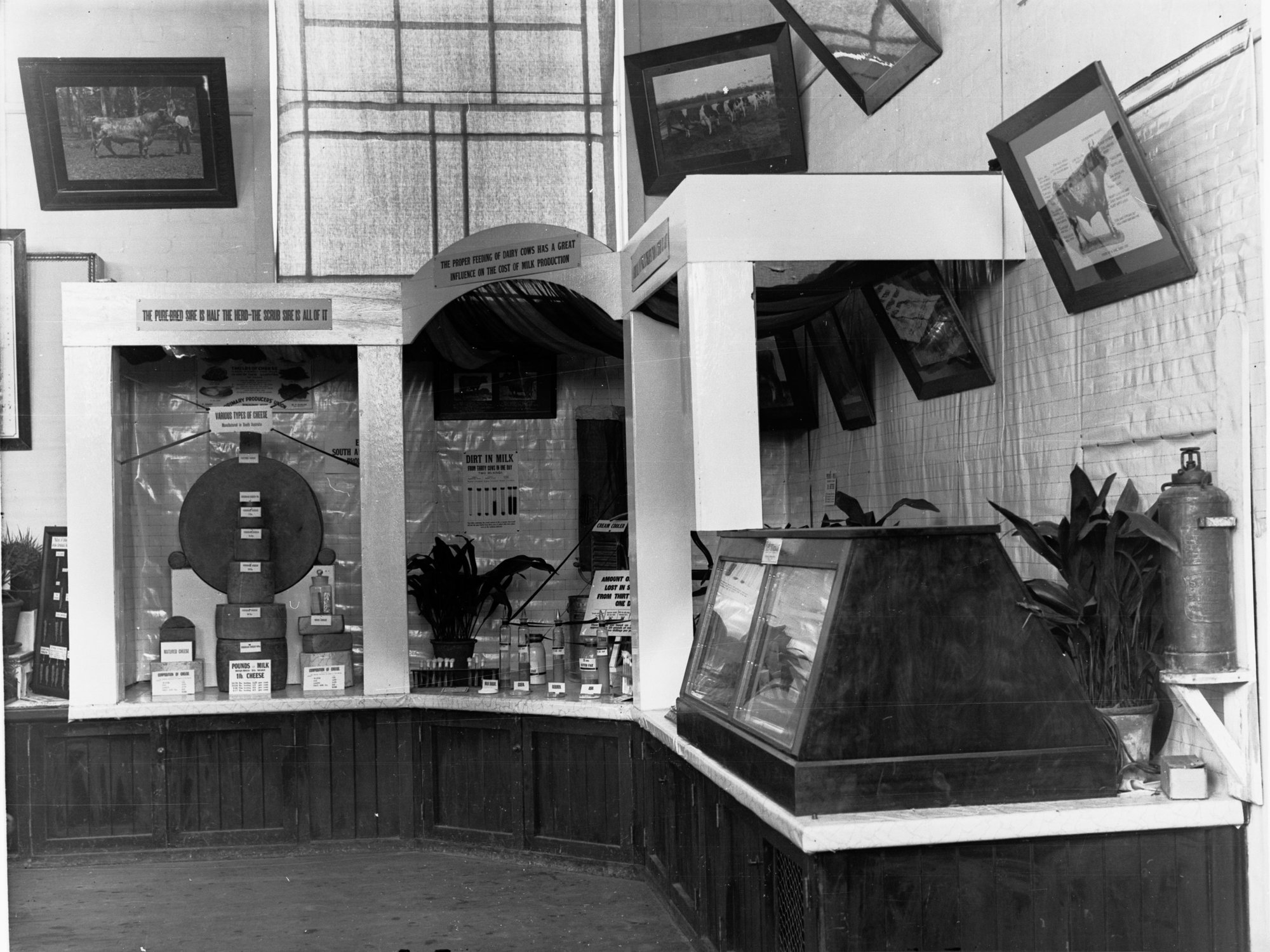 Exhibit in Agricultural Hall Royal Adelaide Show
