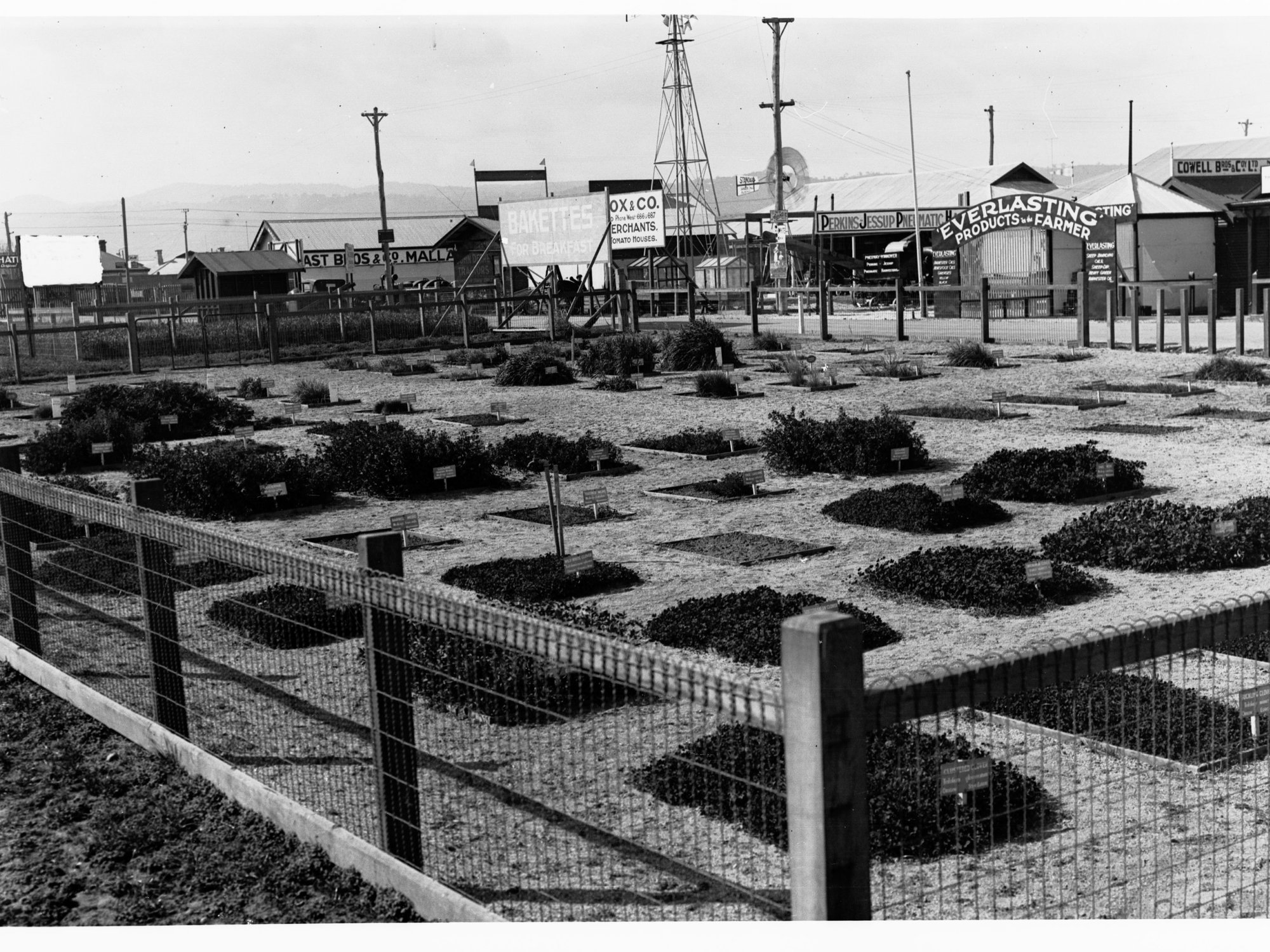 Royal Adelaide Show, c. 1928