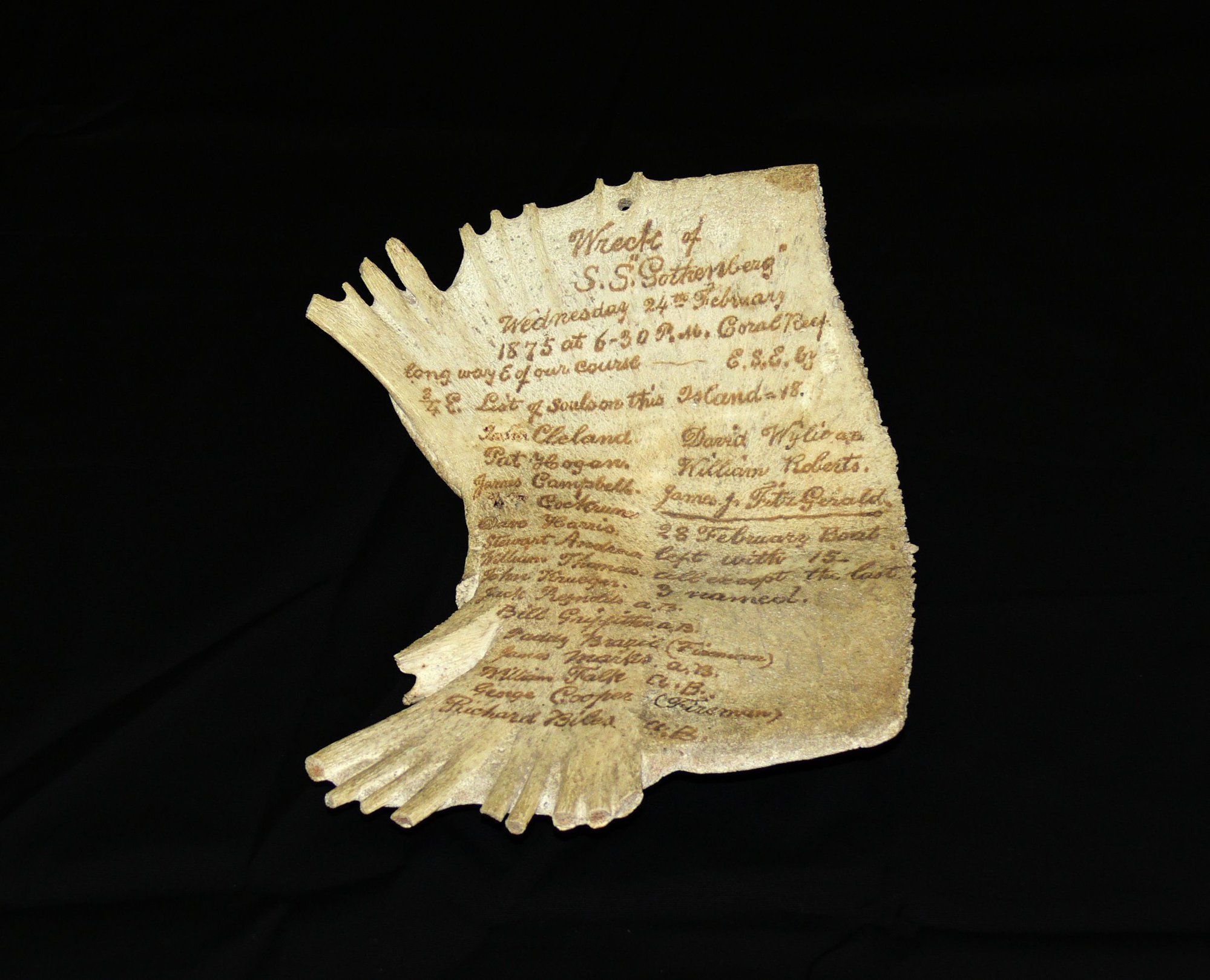 Commemorative plaque , Turtle Shell