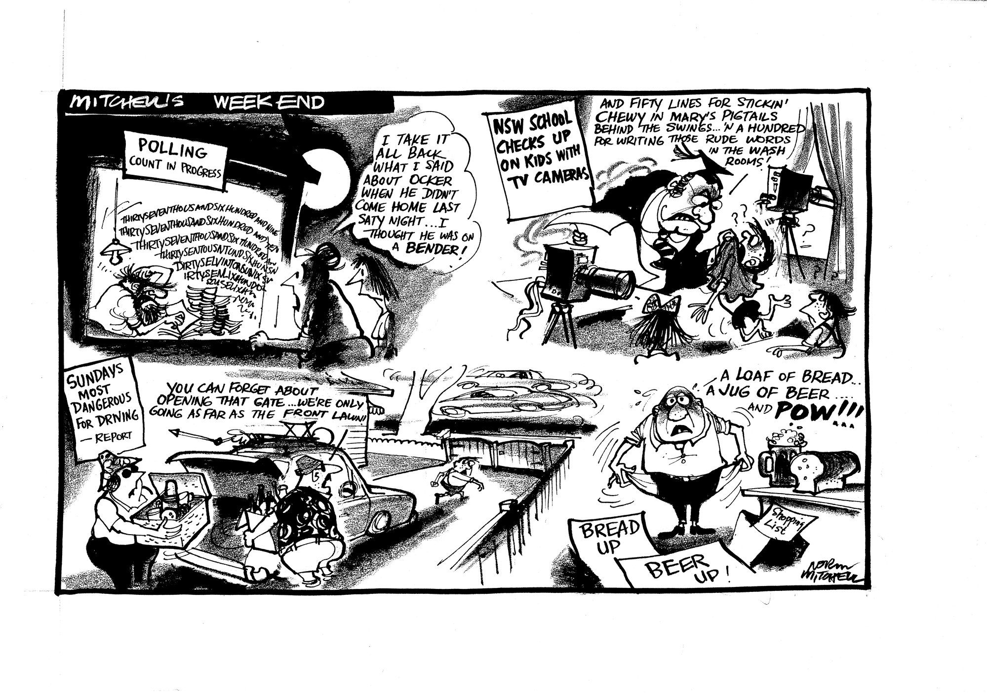 Cartoon - Mitchell's weekend