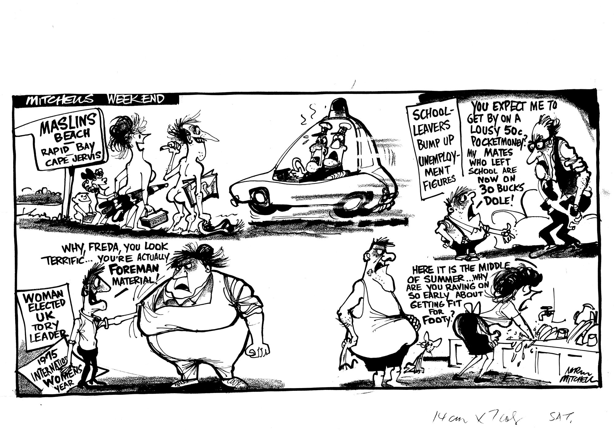 Cartoon - Mitchell's Weekend