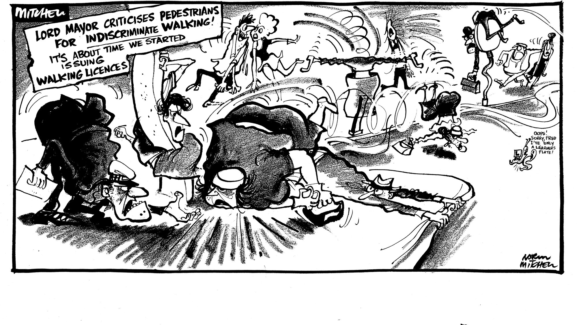 Cartoons - Walking licences