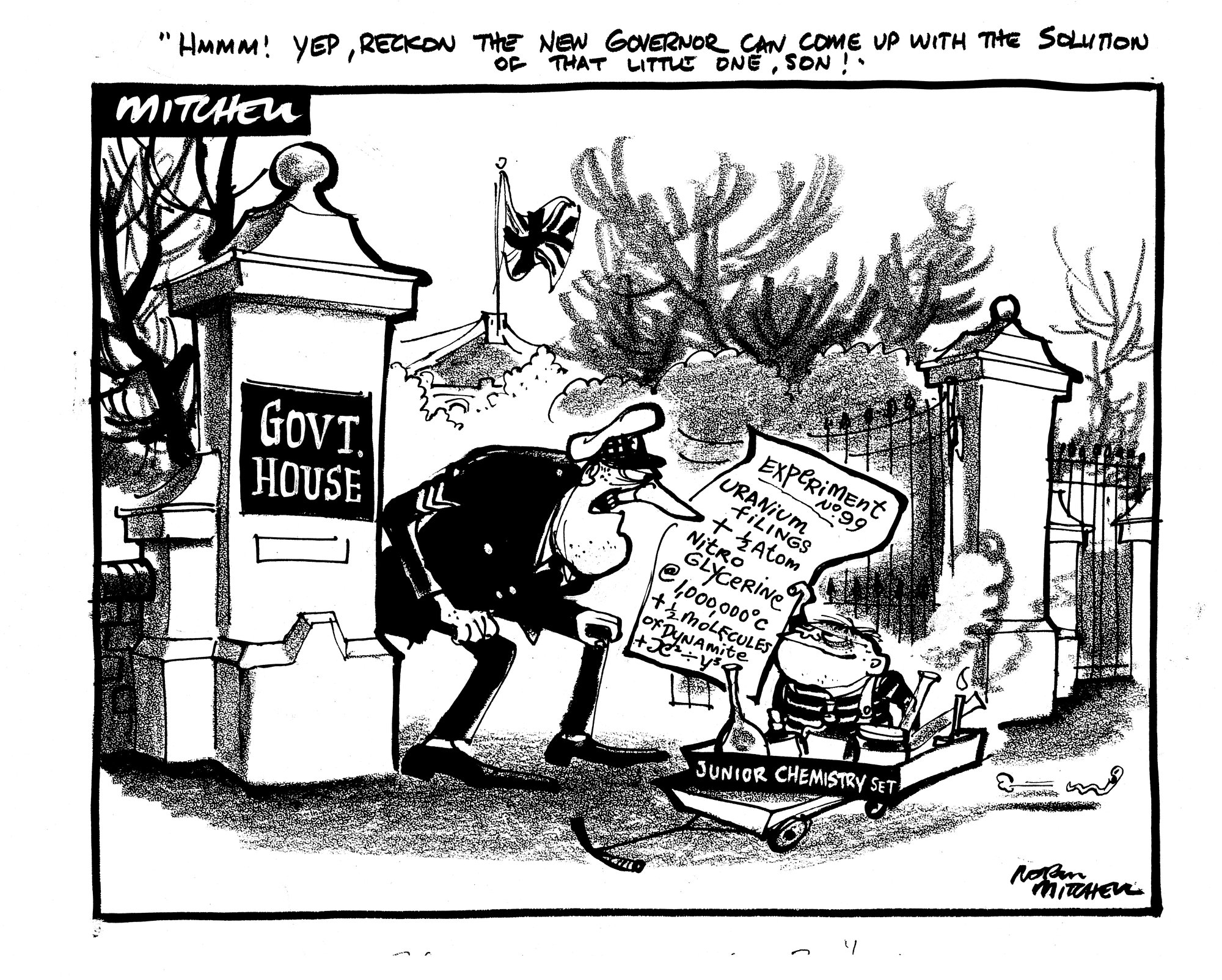 Cartoons - New Governor