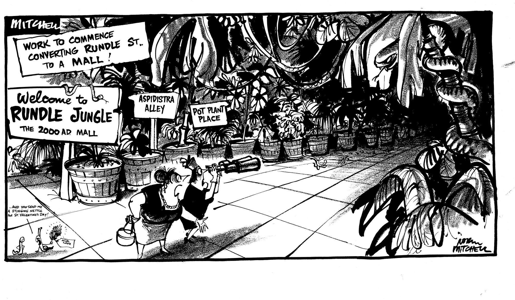 Cartoons - Rundle Jungle