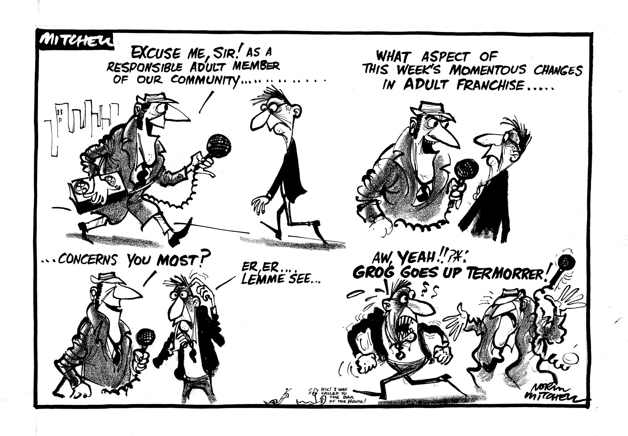 Cartoons - Adult franchise