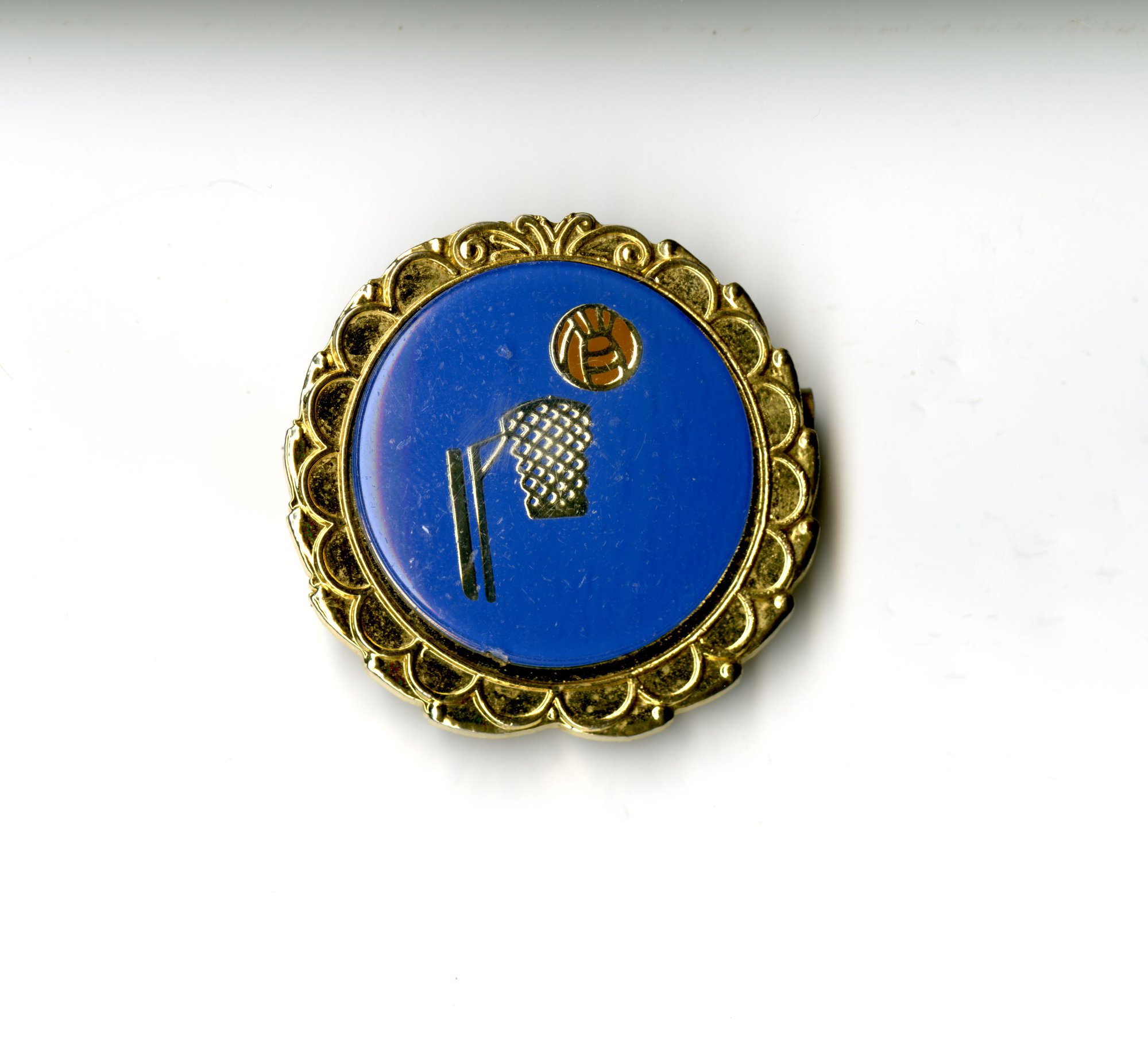 Netball badge