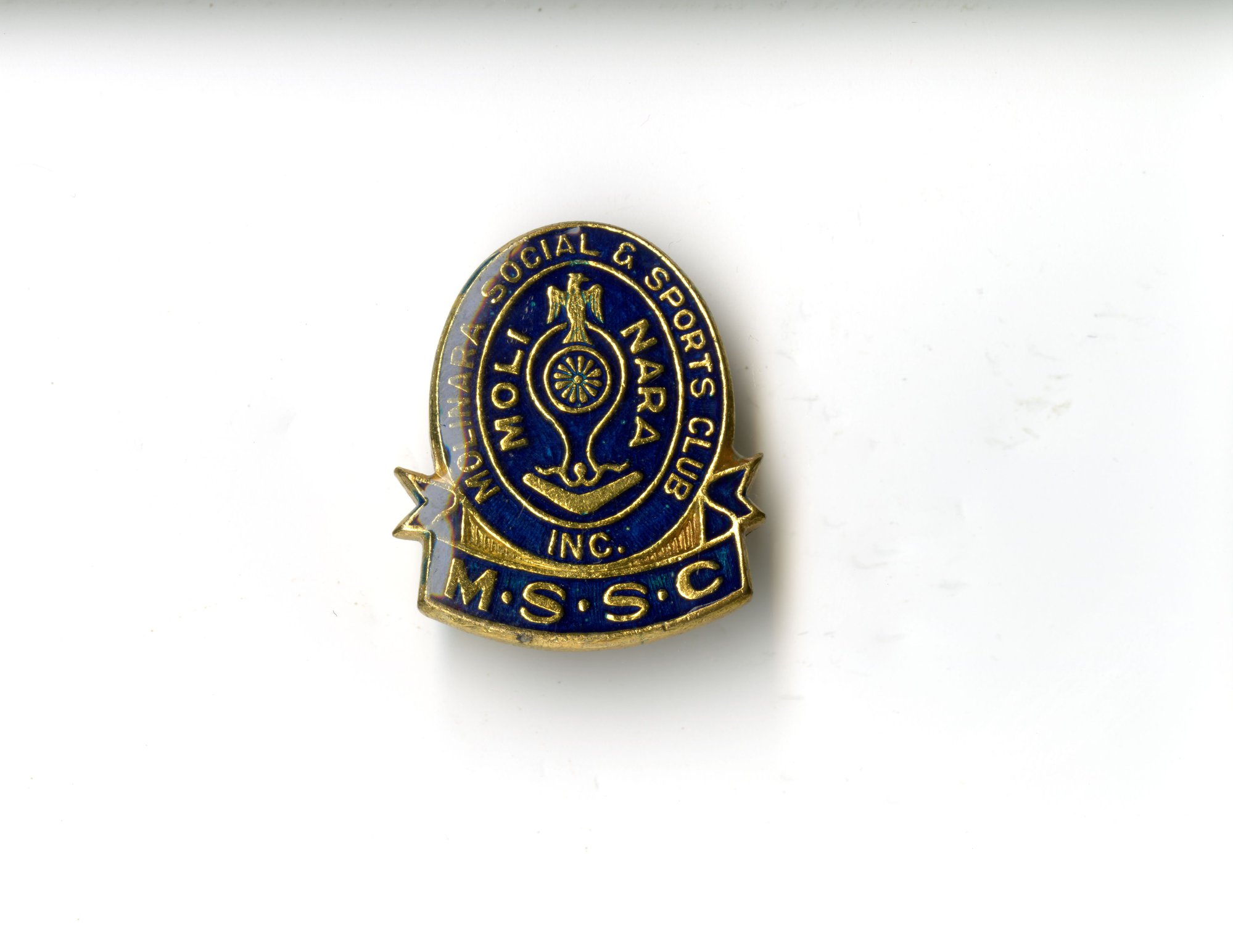 Netball badge