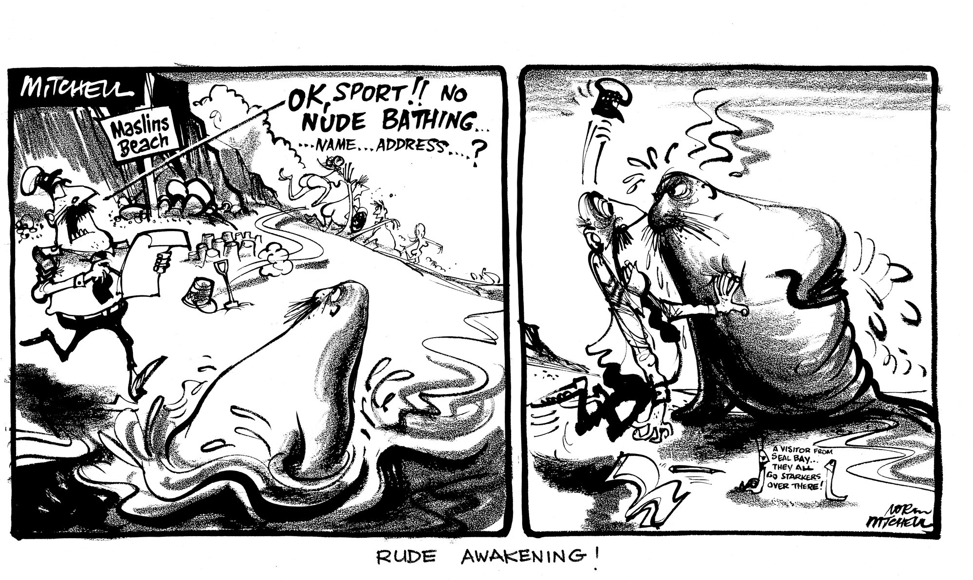 Cartoon - 'Maslins Beach'