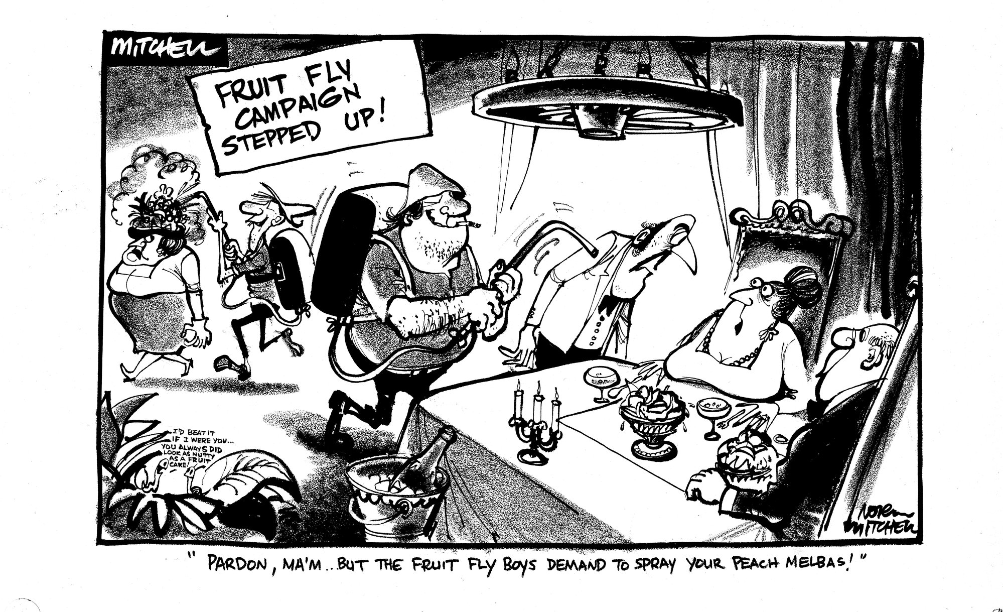 Cartoon - 'Fruit Fly Campaign'