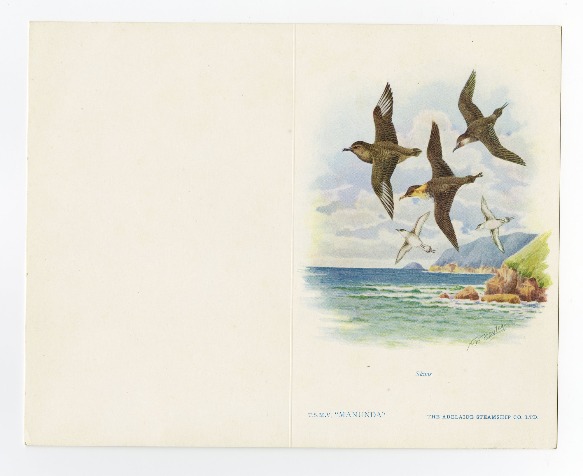 Blank MV MANUNDA Menu card