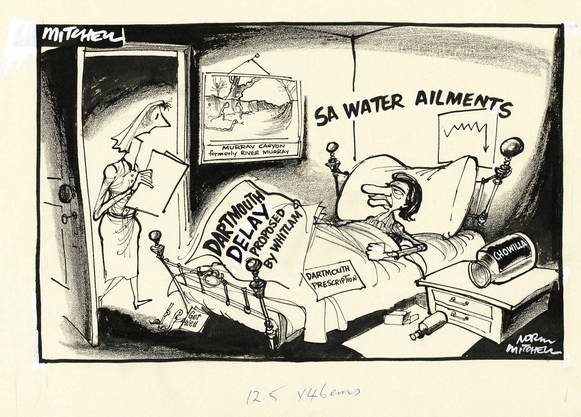 Cartoon - Chowilla Dam