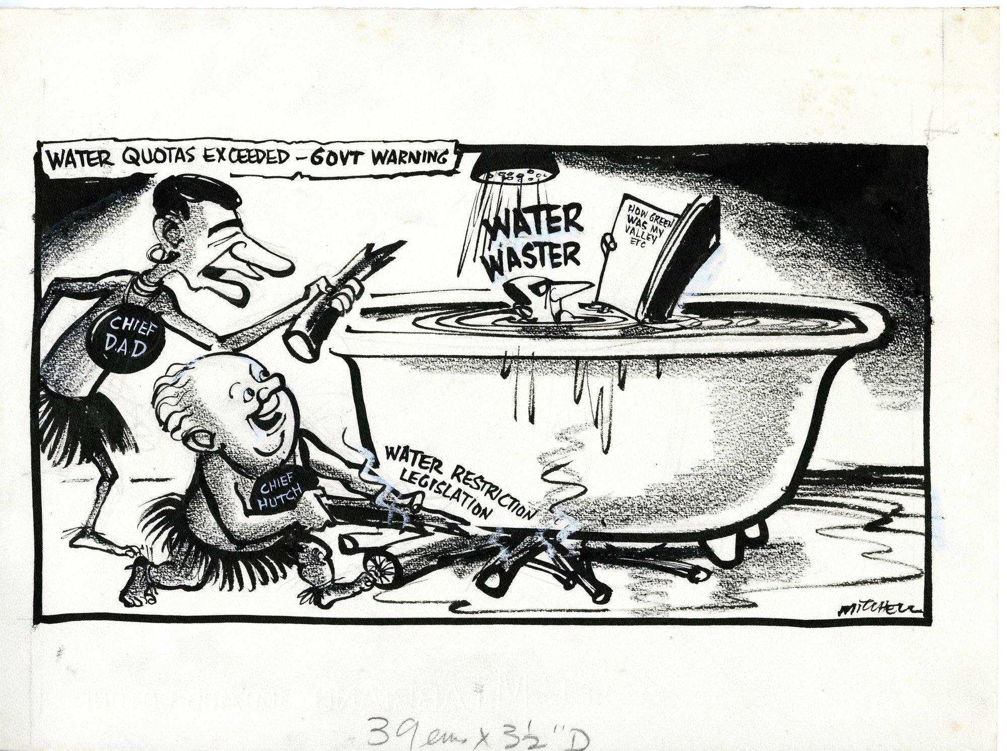 Cartoon - Water Quotas