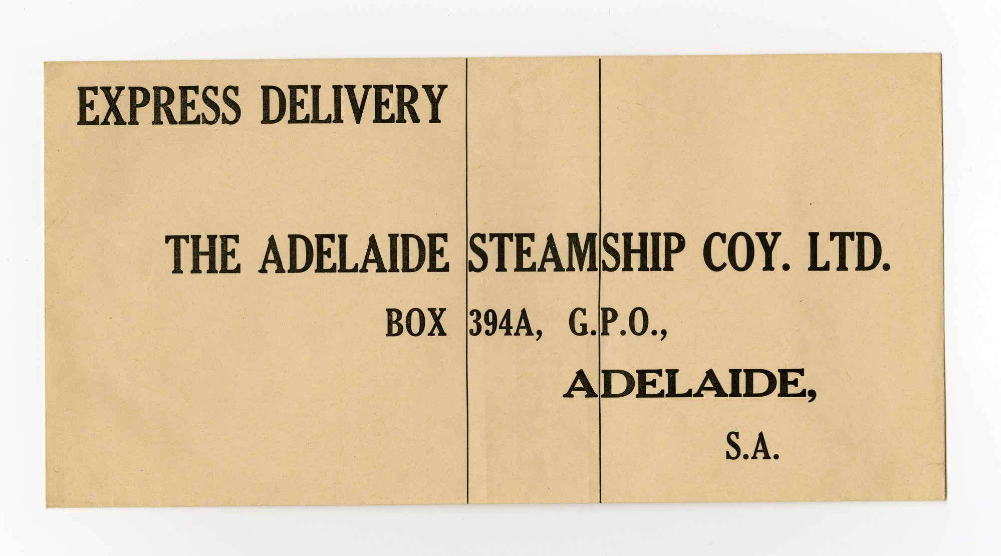 Express Delivery Envelope